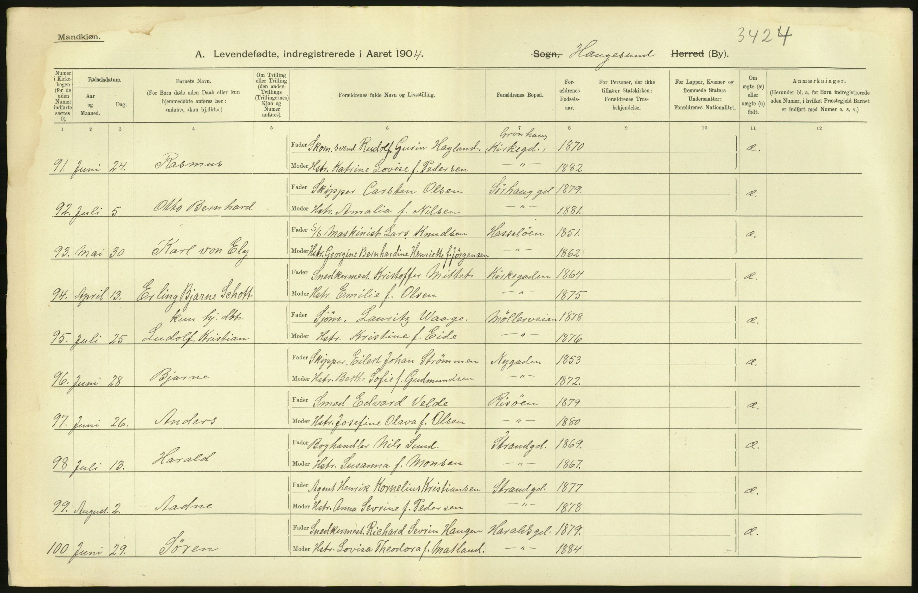 Statistisk sentralbyrå, Sosiodemografiske emner, Befolkning, AV/RA-S-2228/D/Df/Dfa/Dfab/L0012: Stavanger amt: Fødte, gifte, døde, 1904, s. 16