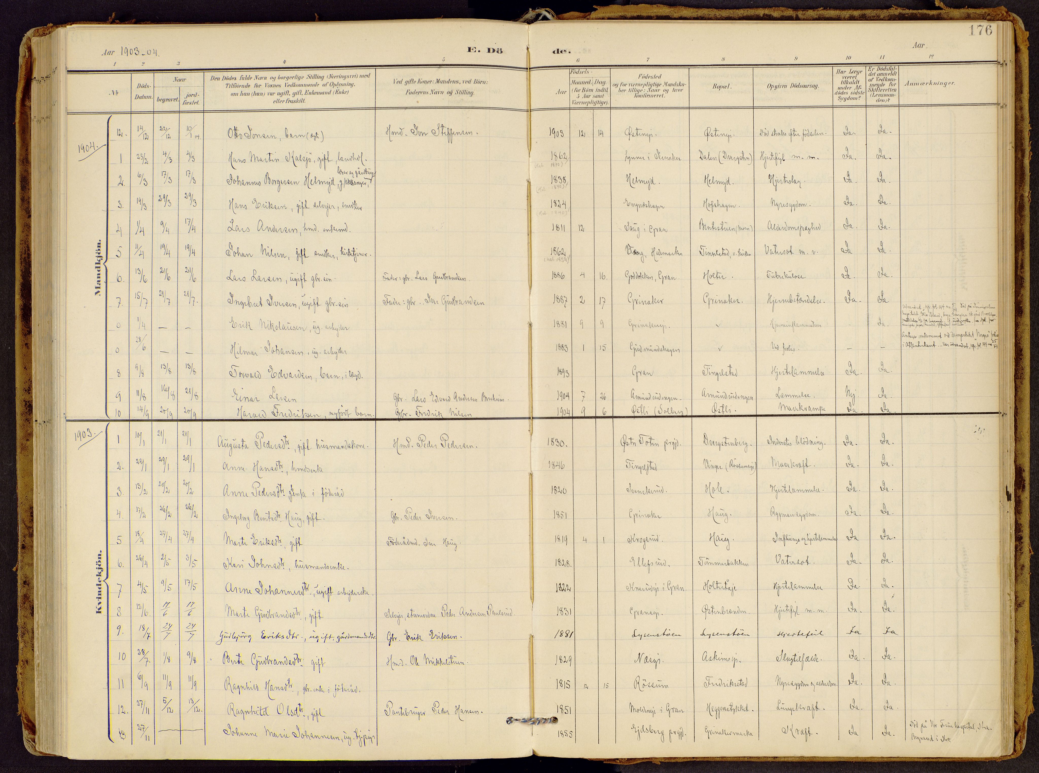 Brandbu prestekontor, AV/SAH-PREST-114/H/Ha/Haa/L0002: Ministerialbok nr. 2, 1899-1914, s. 176