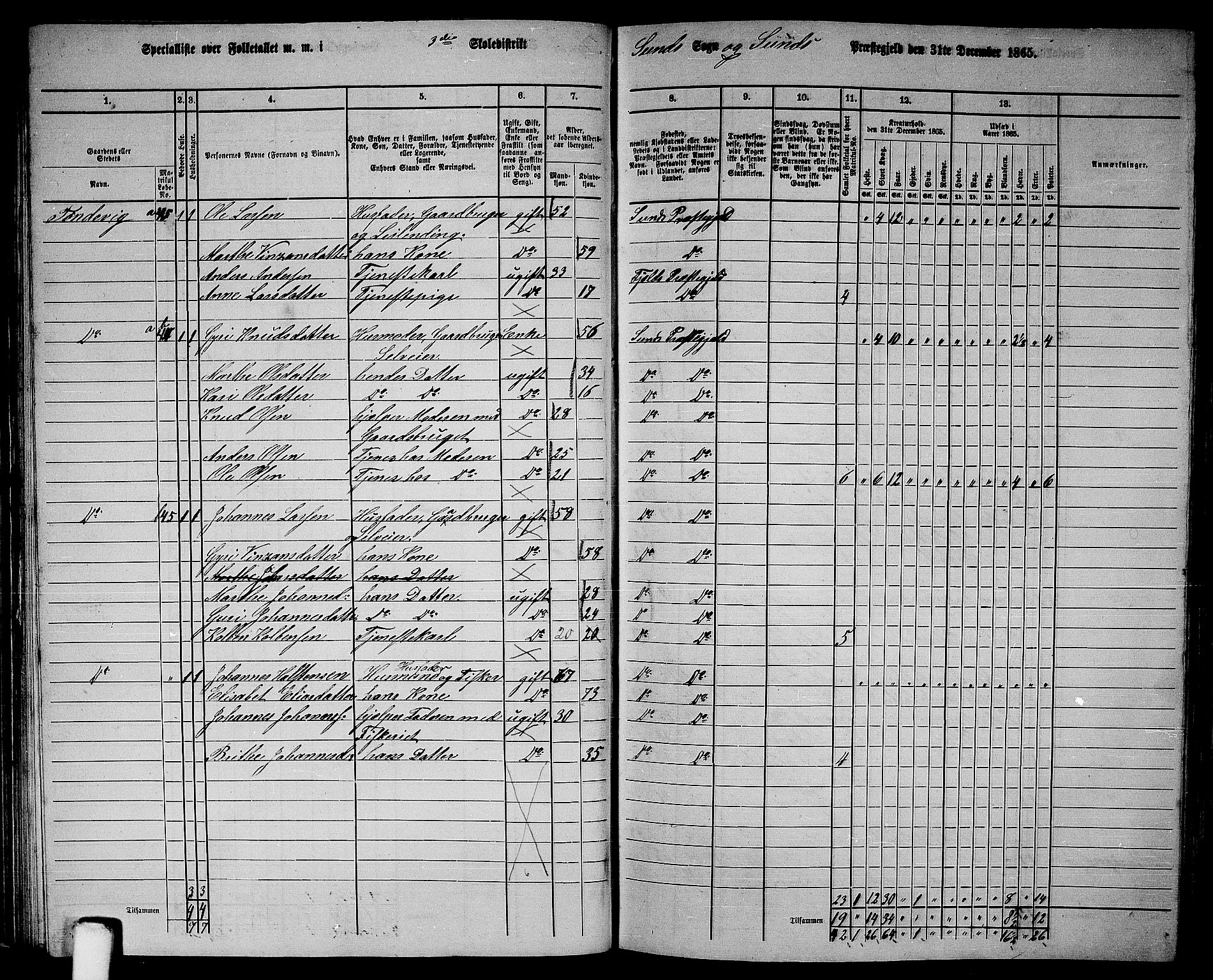 RA, Folketelling 1865 for 1245P Sund prestegjeld, 1865, s. 47