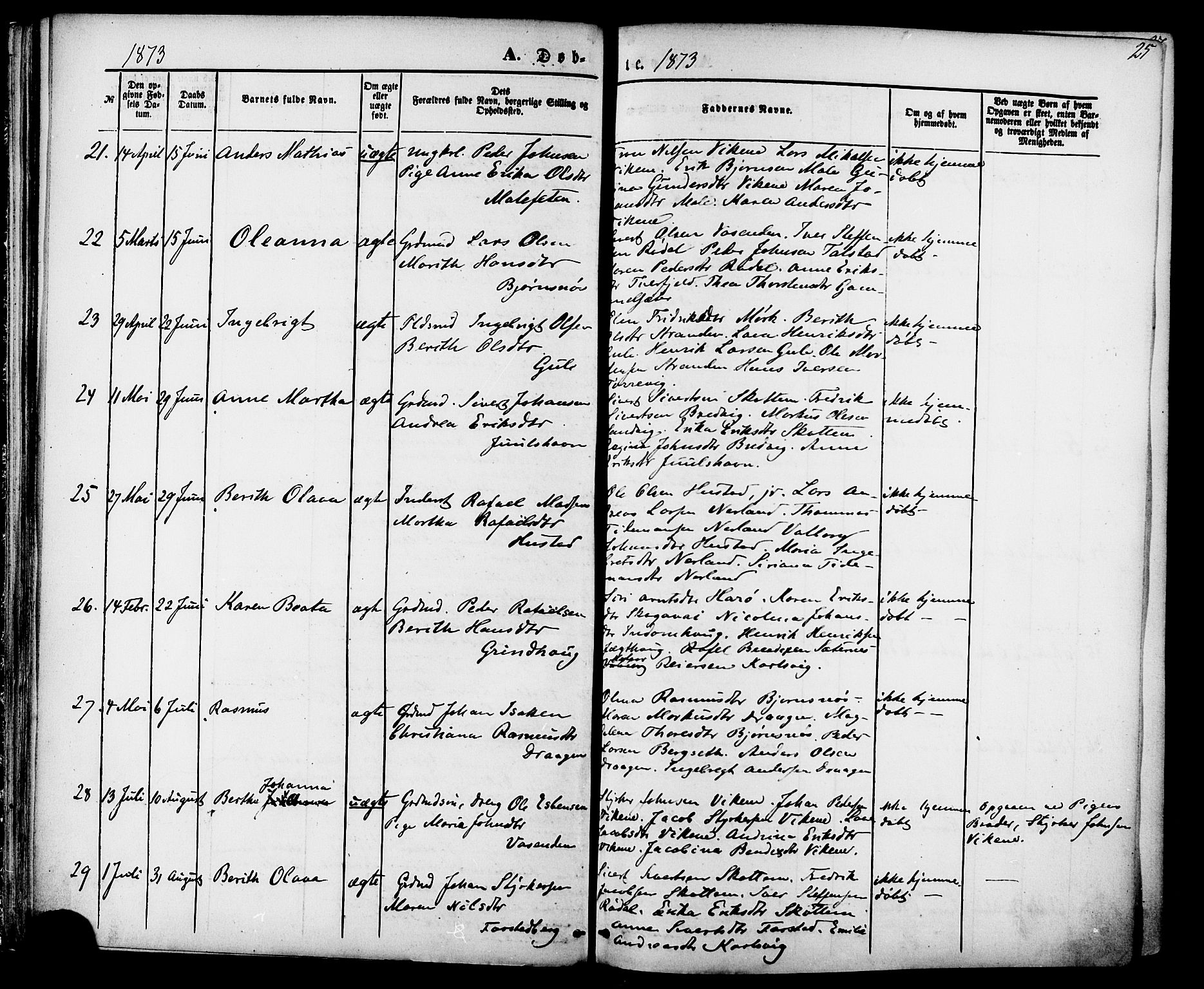 Ministerialprotokoller, klokkerbøker og fødselsregistre - Møre og Romsdal, AV/SAT-A-1454/566/L0768: Ministerialbok nr. 566A07, 1869-1881, s. 25