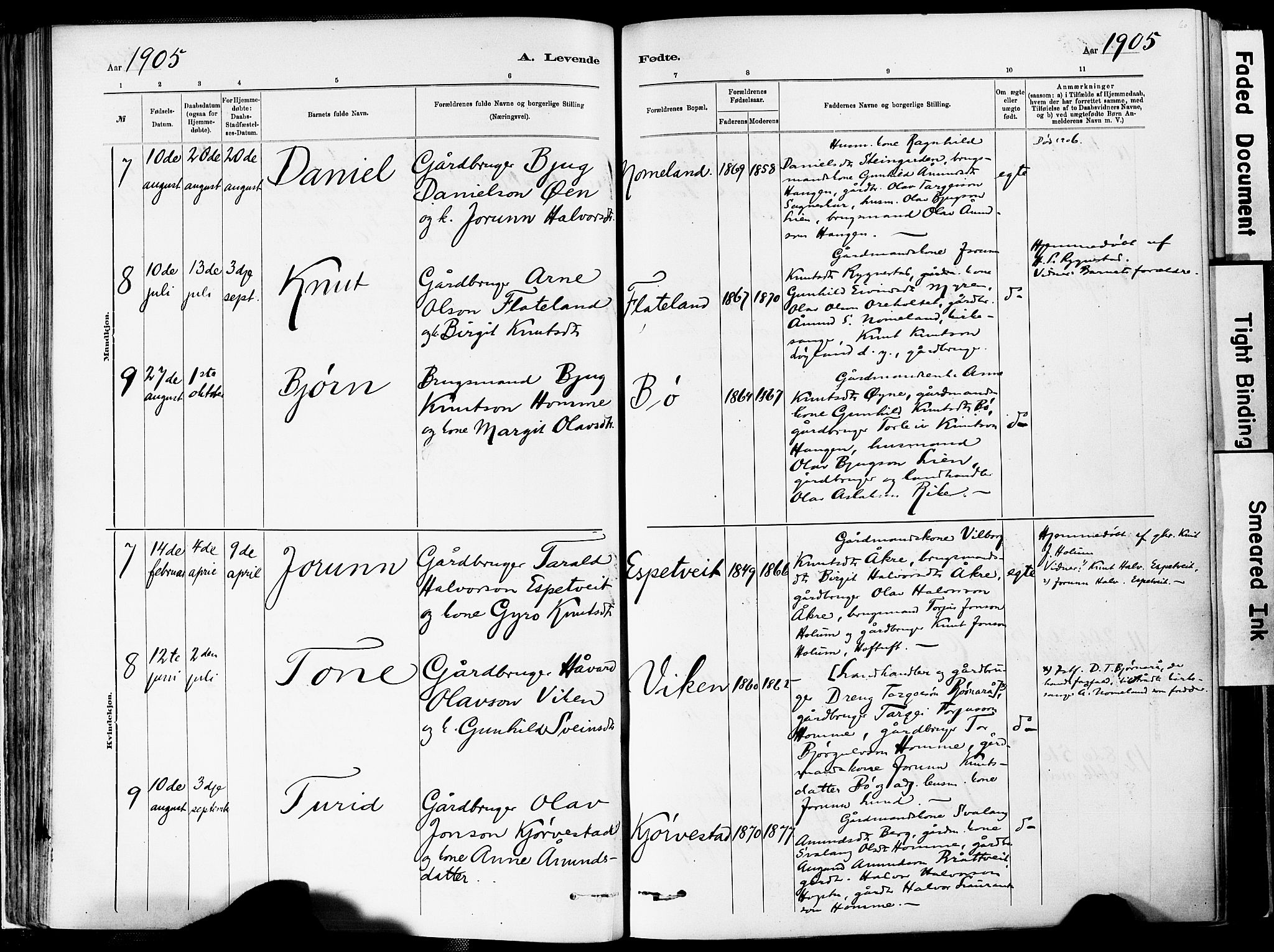 Valle sokneprestkontor, AV/SAK-1111-0044/F/Fa/Fac/L0009: Ministerialbok nr. A 9, 1882-1913, s. 60