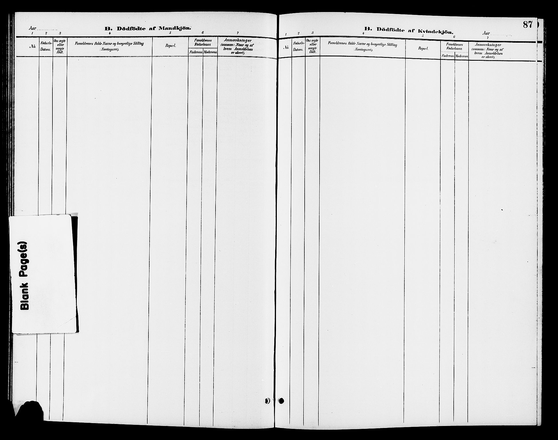 Jevnaker prestekontor, SAH/PREST-116/H/Ha/Hab/L0003: Klokkerbok nr. 3, 1896-1909, s. 87