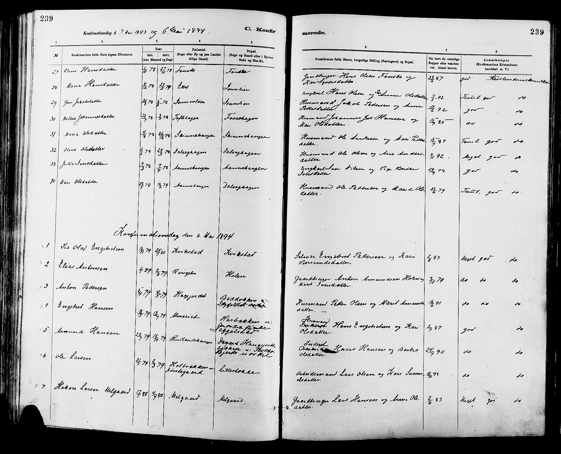 Sør-Fron prestekontor, AV/SAH-PREST-010/H/Ha/Haa/L0003: Ministerialbok nr. 3, 1881-1897, s. 239