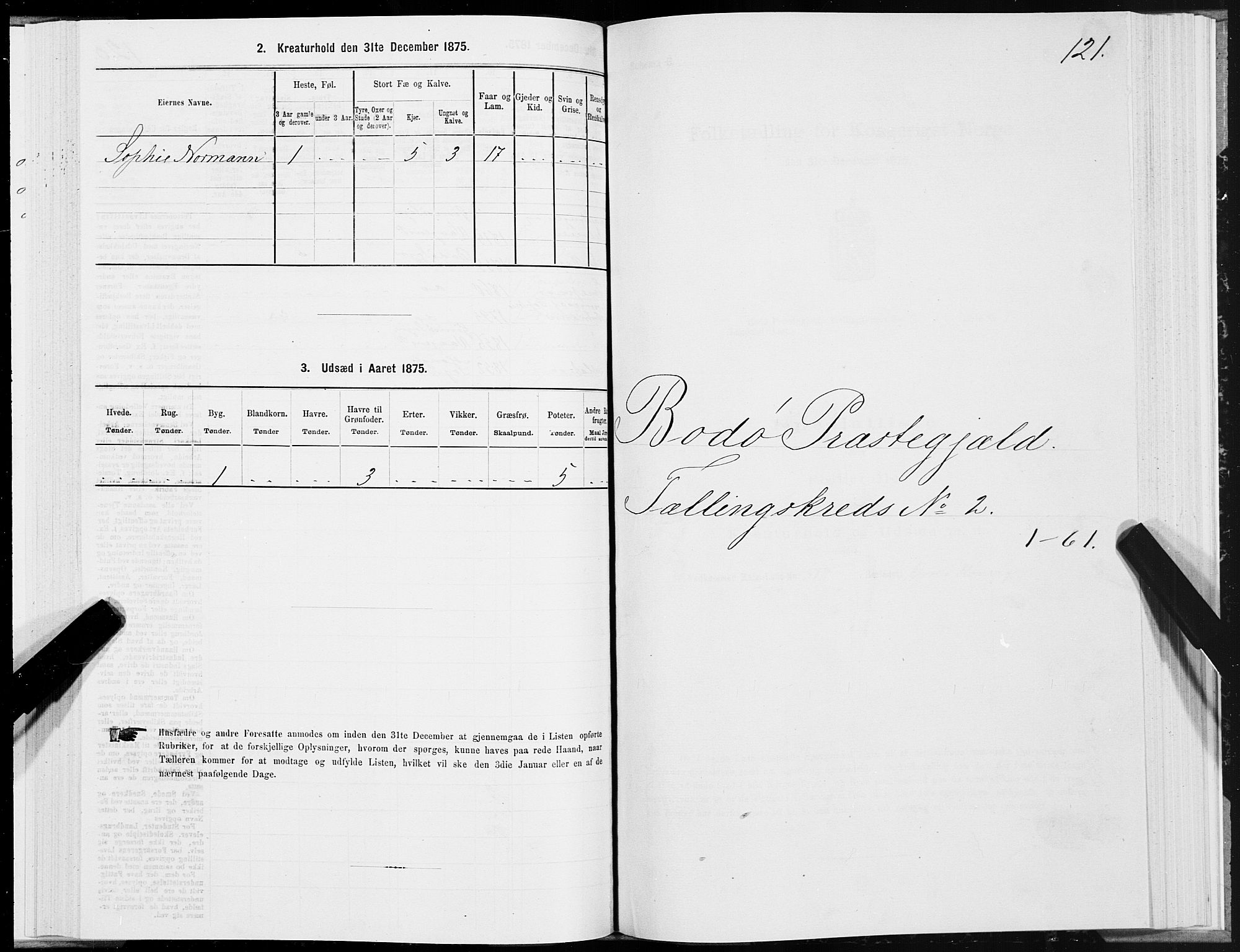 SAT, Folketelling 1875 for 1843L Bodø prestegjeld, Bodø landsokn, 1875, s. 1121