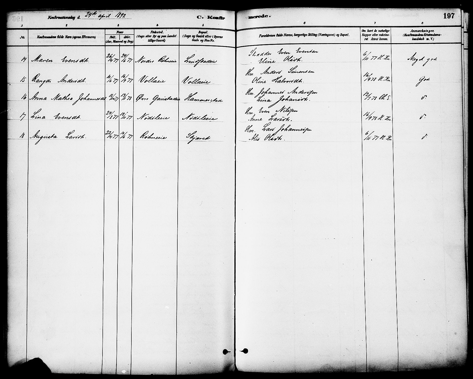 Stange prestekontor, AV/SAH-PREST-002/K/L0017: Ministerialbok nr. 17, 1880-1893, s. 197