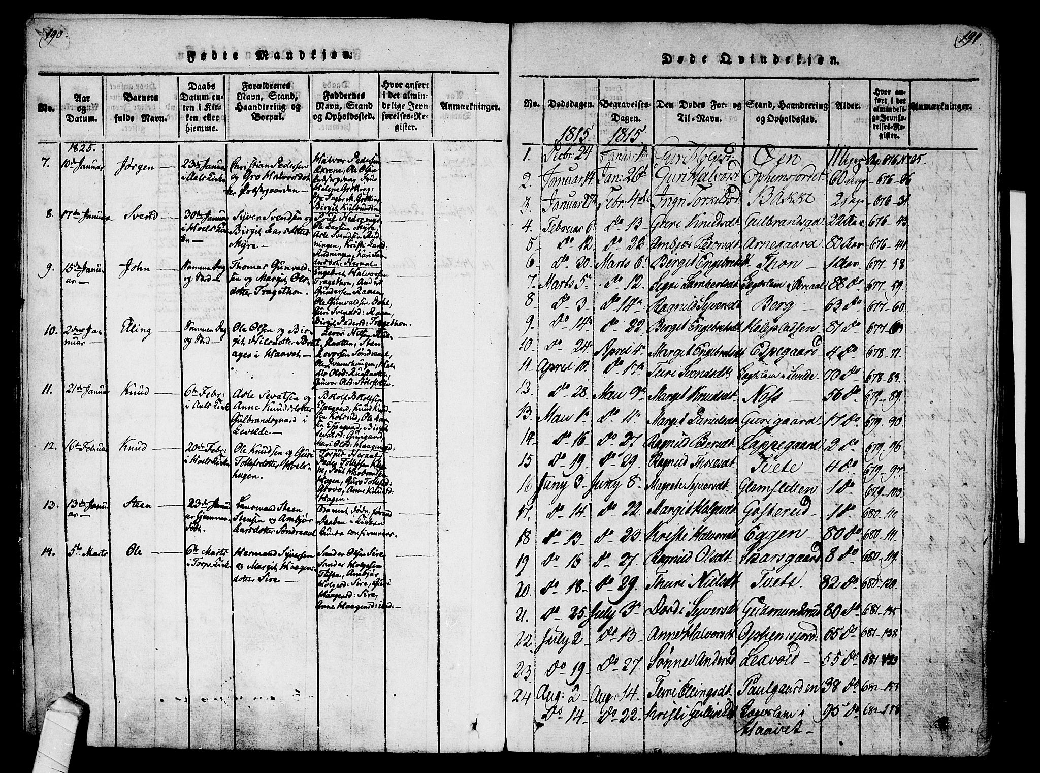 Ål kirkebøker, AV/SAKO-A-249/F/Fa/L0004: Ministerialbok nr. I 4, 1815-1825, s. 190-191