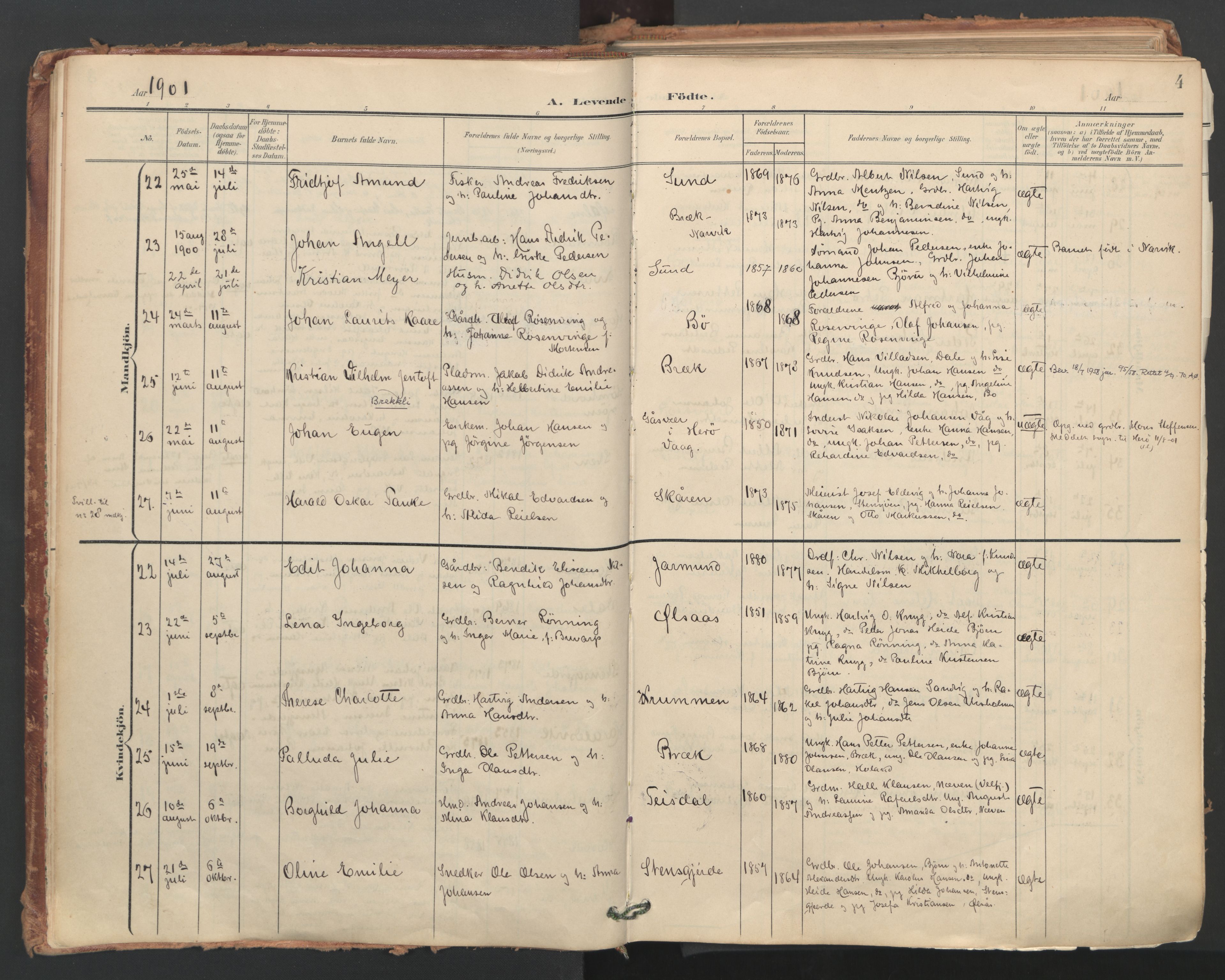 Ministerialprotokoller, klokkerbøker og fødselsregistre - Nordland, AV/SAT-A-1459/812/L0180: Ministerialbok nr. 812A09, 1901-1915, s. 4