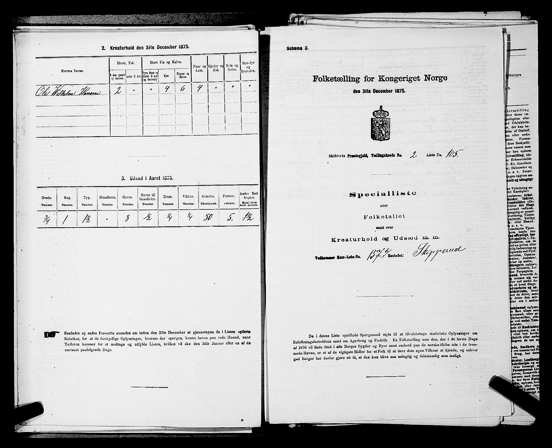 RA, Folketelling 1875 for 0127P Skiptvet prestegjeld, 1875, s. 423
