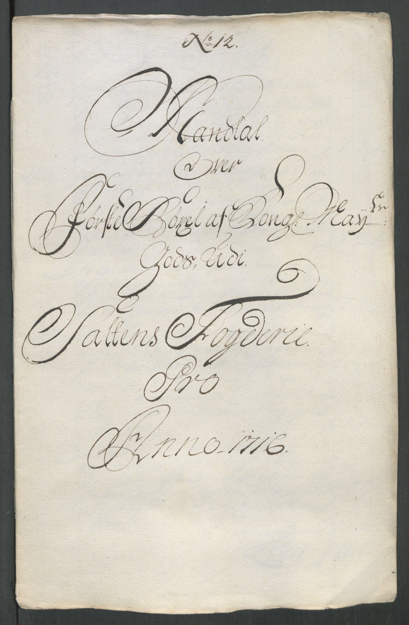 Rentekammeret inntil 1814, Reviderte regnskaper, Fogderegnskap, RA/EA-4092/R66/L4586: Fogderegnskap Salten, 1716, s. 165