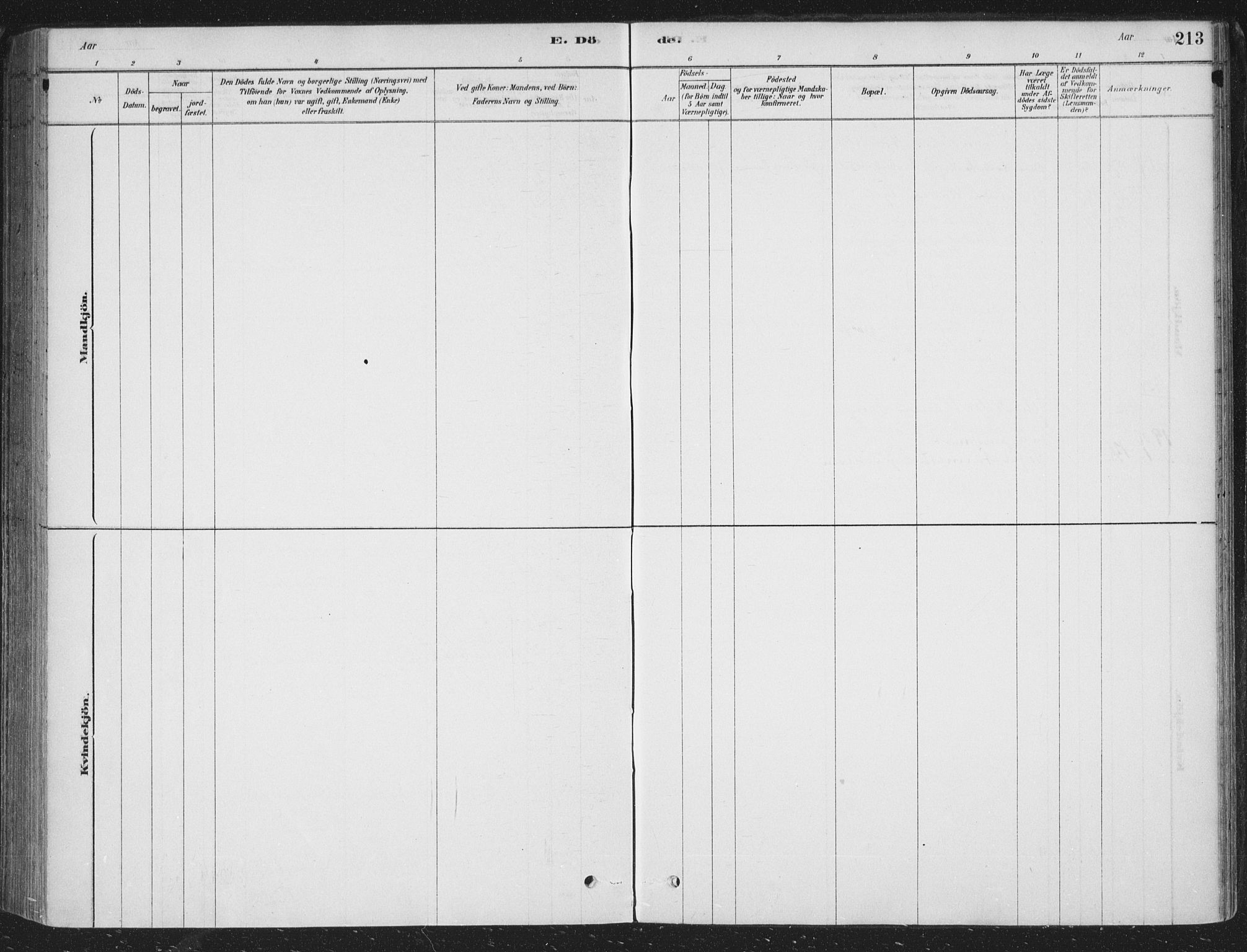 Sandsvær kirkebøker, AV/SAKO-A-244/F/Fe/L0001: Ministerialbok nr. V 1, 1878-1936, s. 213