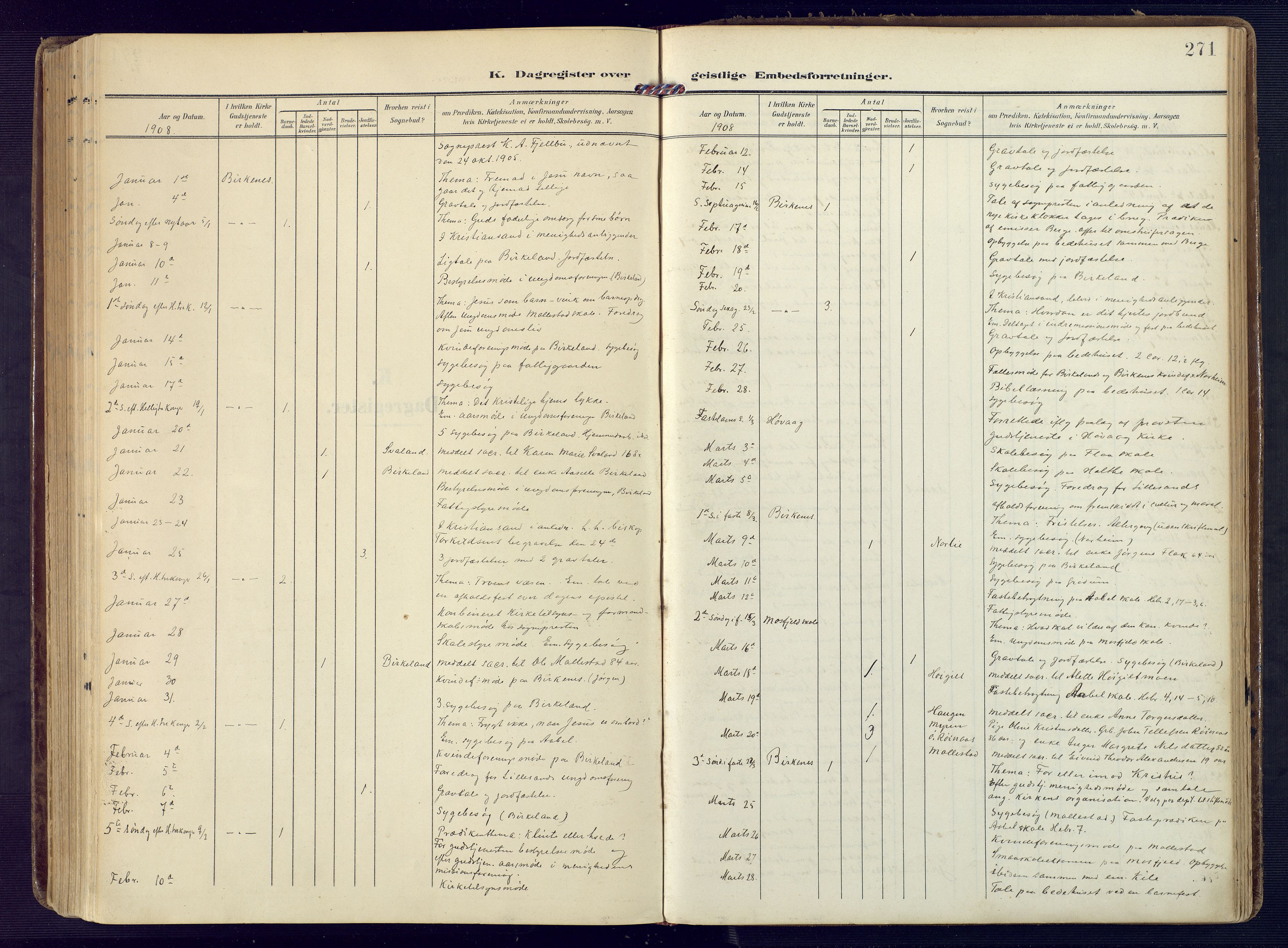 Birkenes sokneprestkontor, SAK/1111-0004/F/Fa/L0006: Ministerialbok nr. A 6, 1908-1932, s. 271