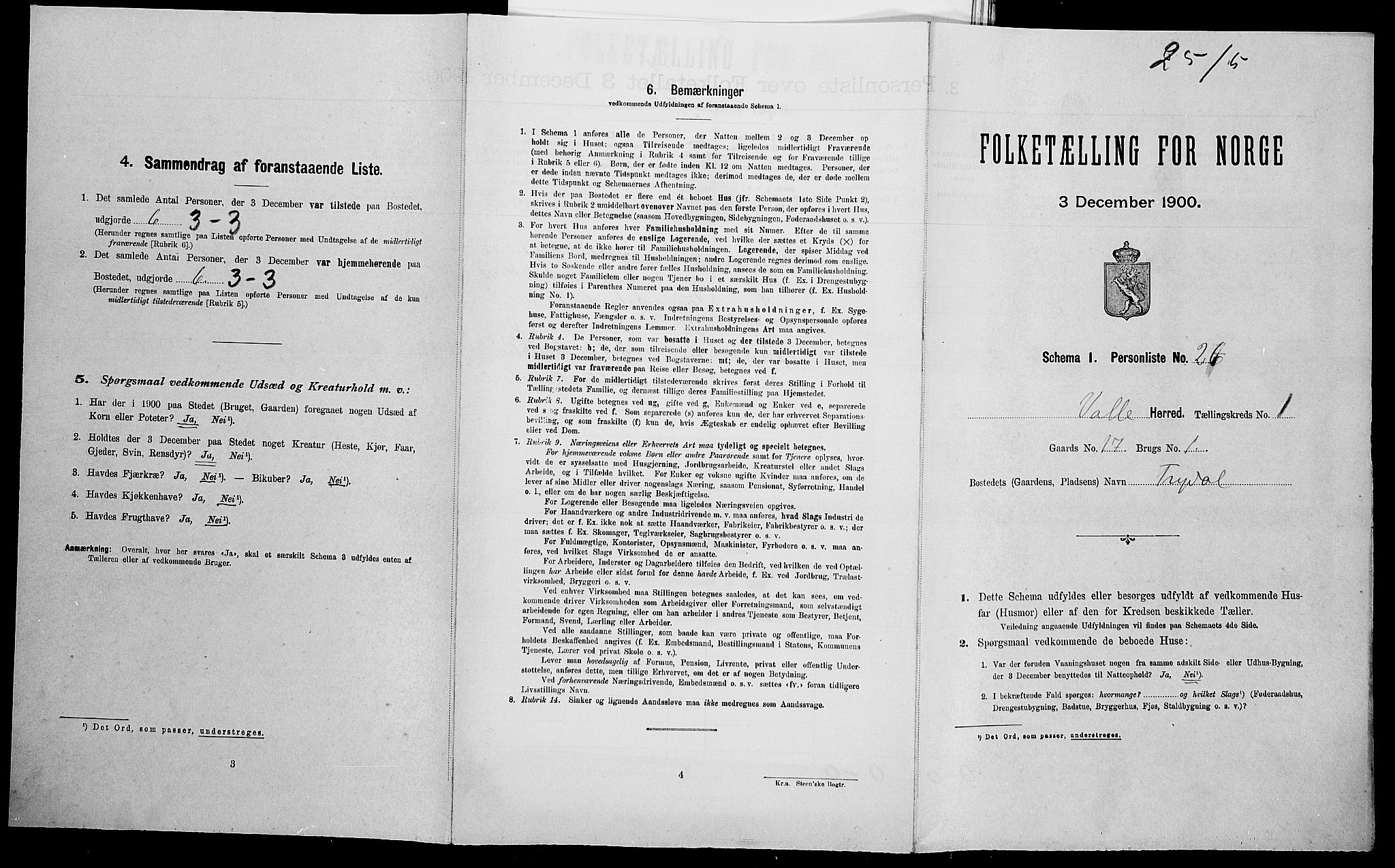 SAK, Folketelling 1900 for 0940 Valle herred, 1900, s. 124