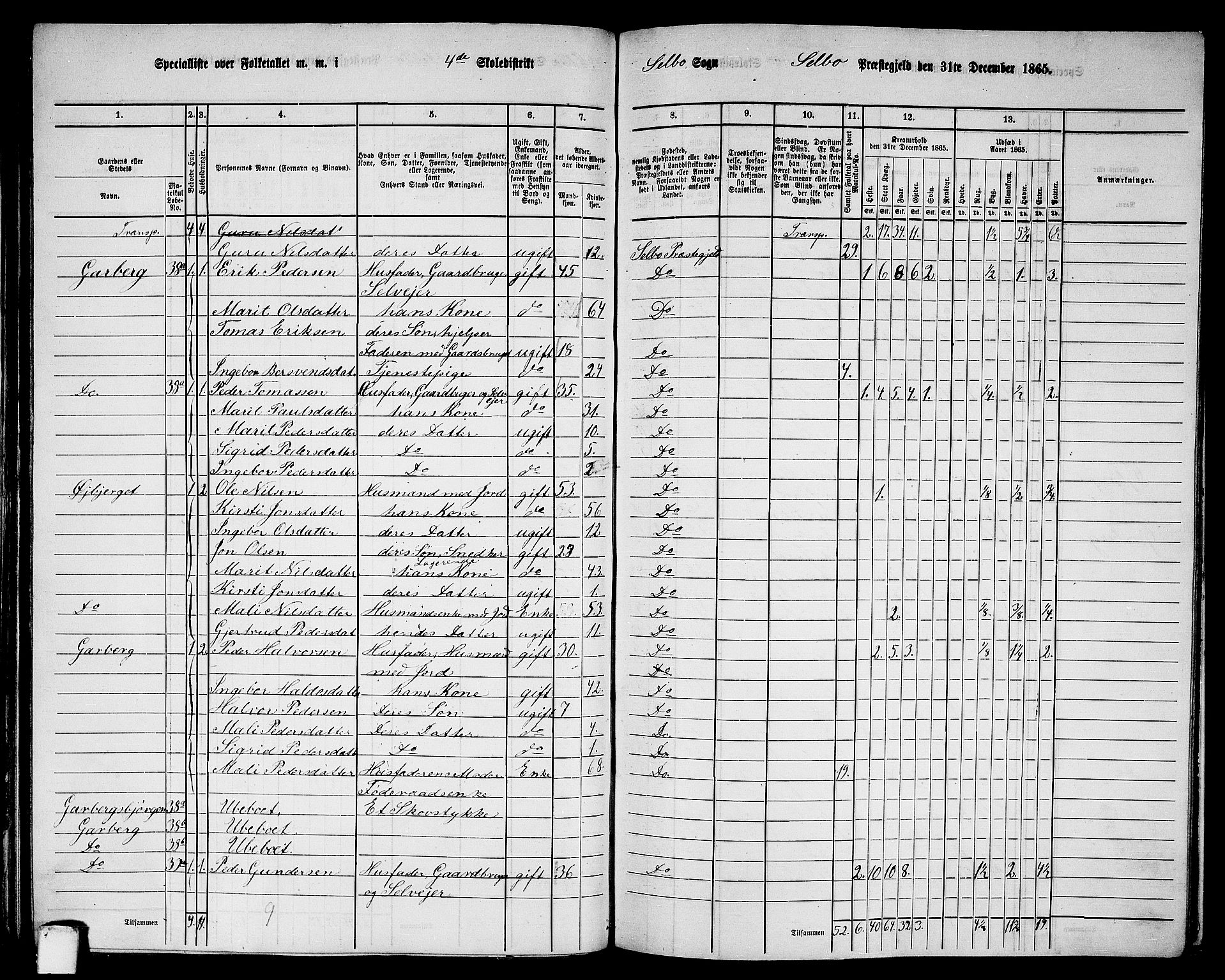 RA, Folketelling 1865 for 1664P Selbu prestegjeld, 1865, s. 50