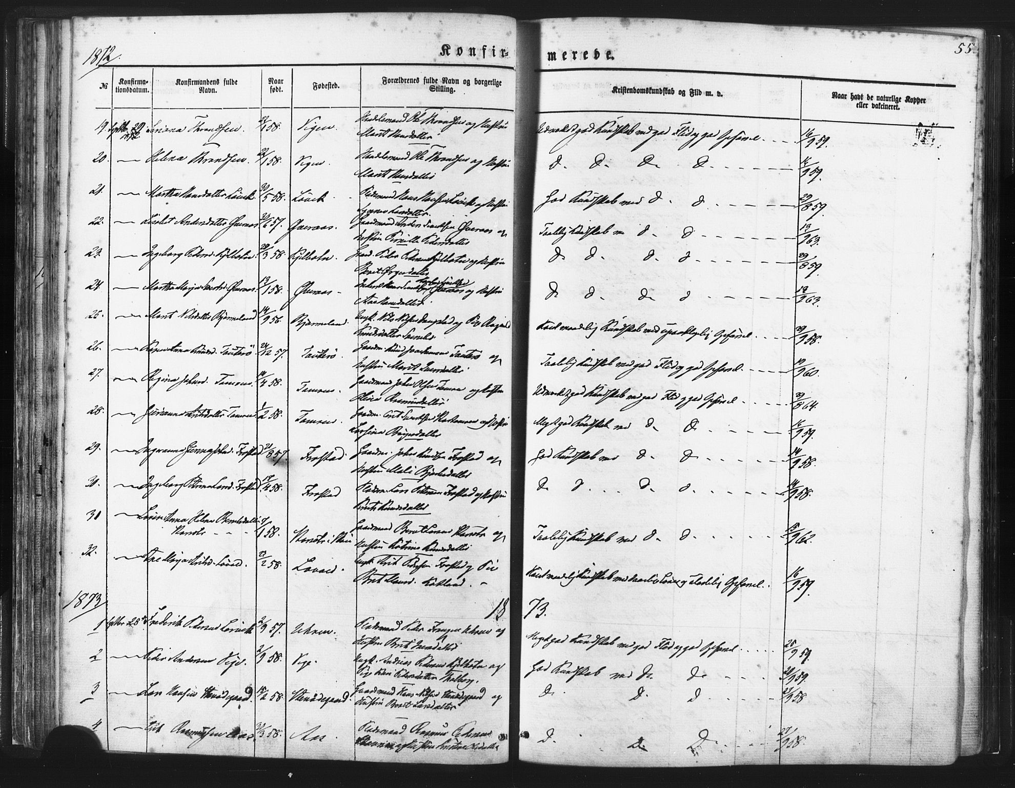 Ministerialprotokoller, klokkerbøker og fødselsregistre - Møre og Romsdal, AV/SAT-A-1454/539/L0530: Ministerialbok nr. 539A03, 1872-1886, s. 55
