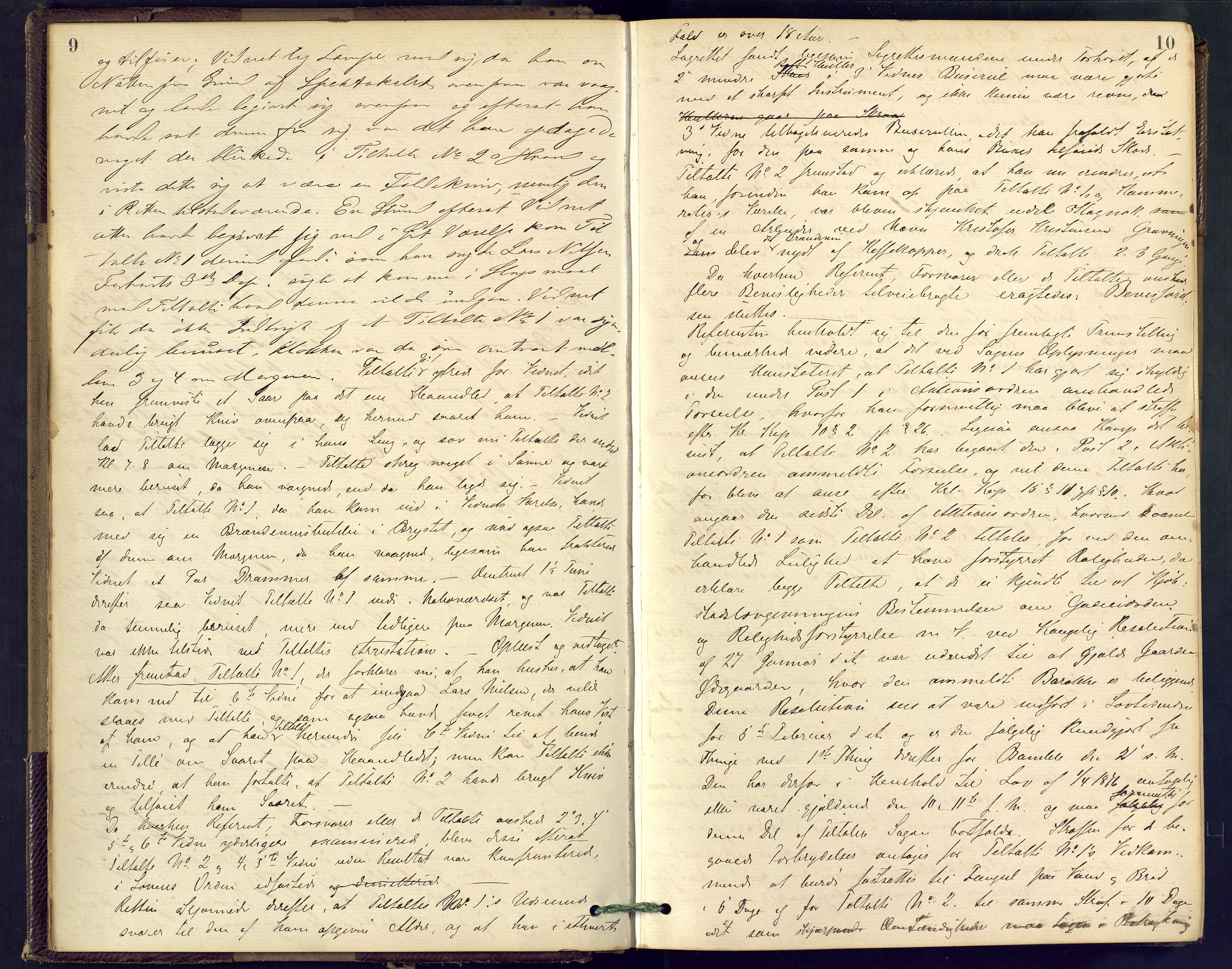 Bamble sorenskriveri, AV/SAKO-A-214/F/Fc/Fcb/L0007: Ekstrarettprotokoll, 1877-1881, s. 9-10