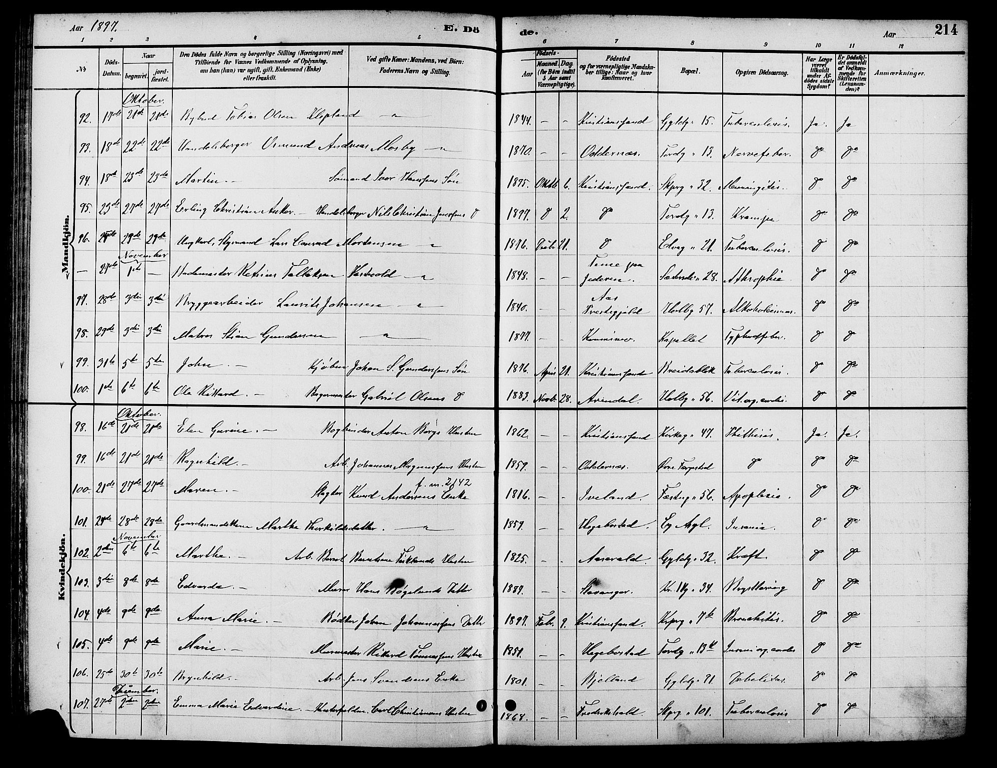 Kristiansand domprosti, AV/SAK-1112-0006/F/Fb/L0017: Klokkerbok nr. B 17, 1893-1906, s. 214