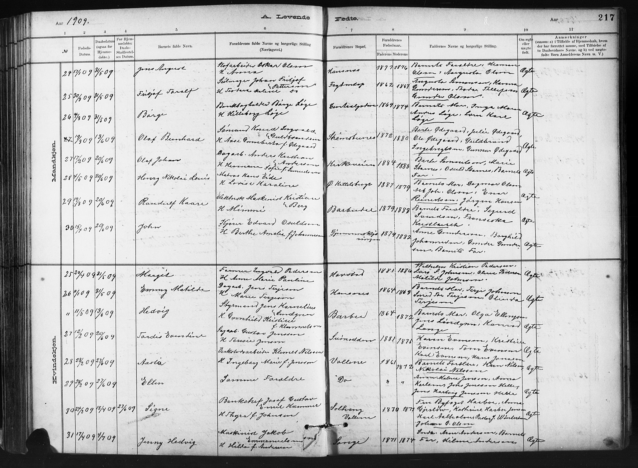 Barbu sokneprestkontor, AV/SAK-1111-0003/F/Fb/L0002: Klokkerbok nr. B 2, 1890-1922, s. 217