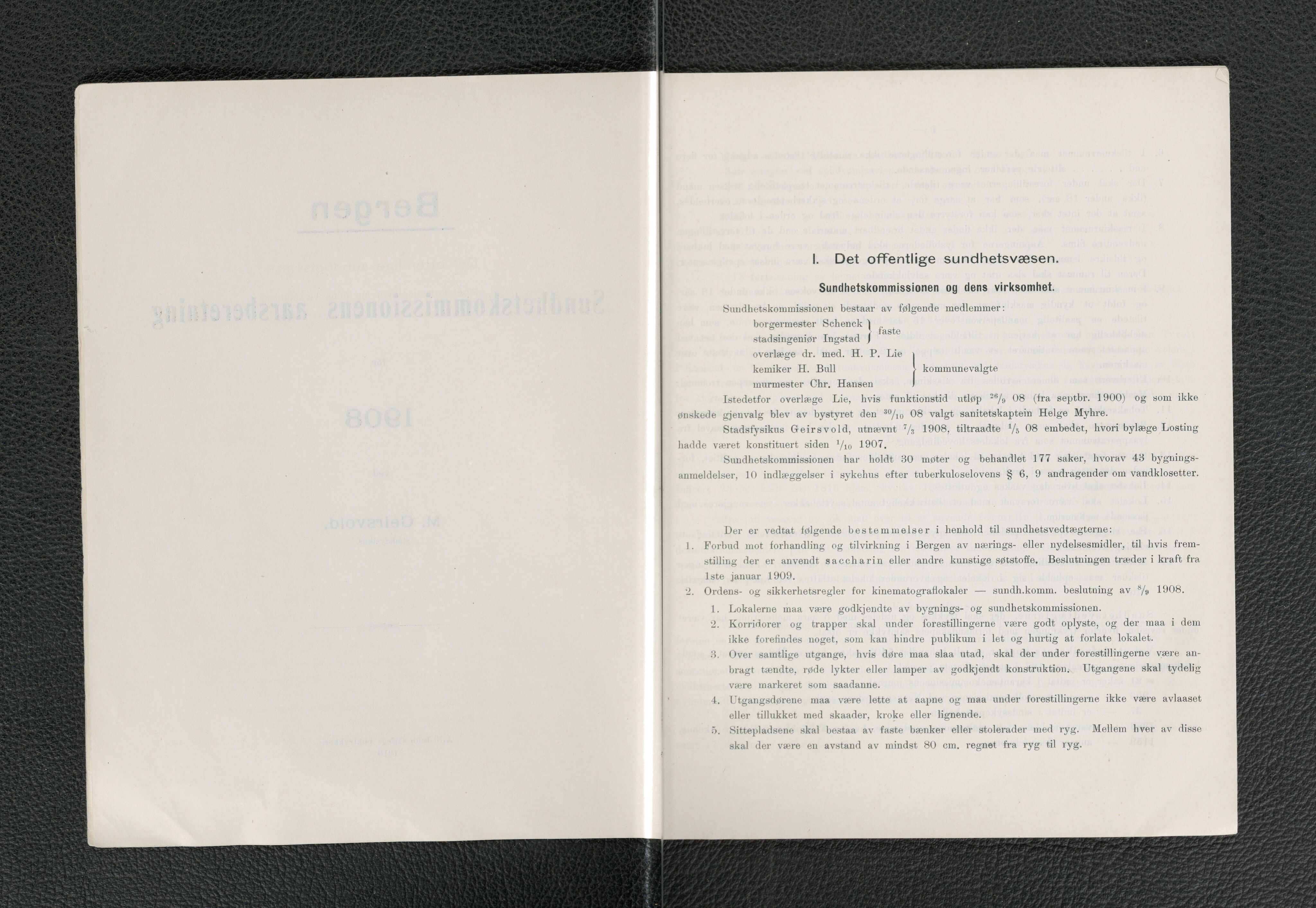 Bergen kommune, Sunnhetsvesen (Bergen helseråd), BBA/A-2617/X/Xa/L0001: Årsmelding, 1908