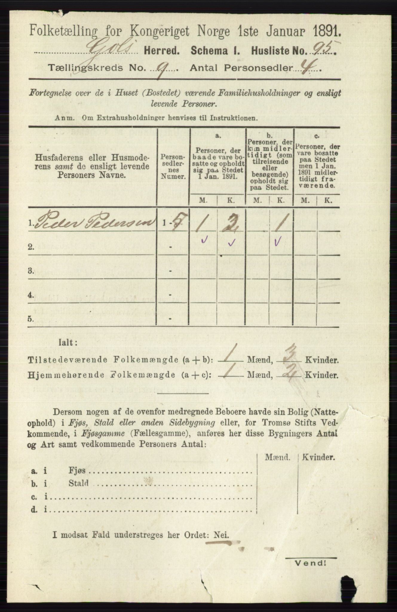 RA, Folketelling 1891 for 0617 Gol og Hemsedal herred, 1891, s. 3394