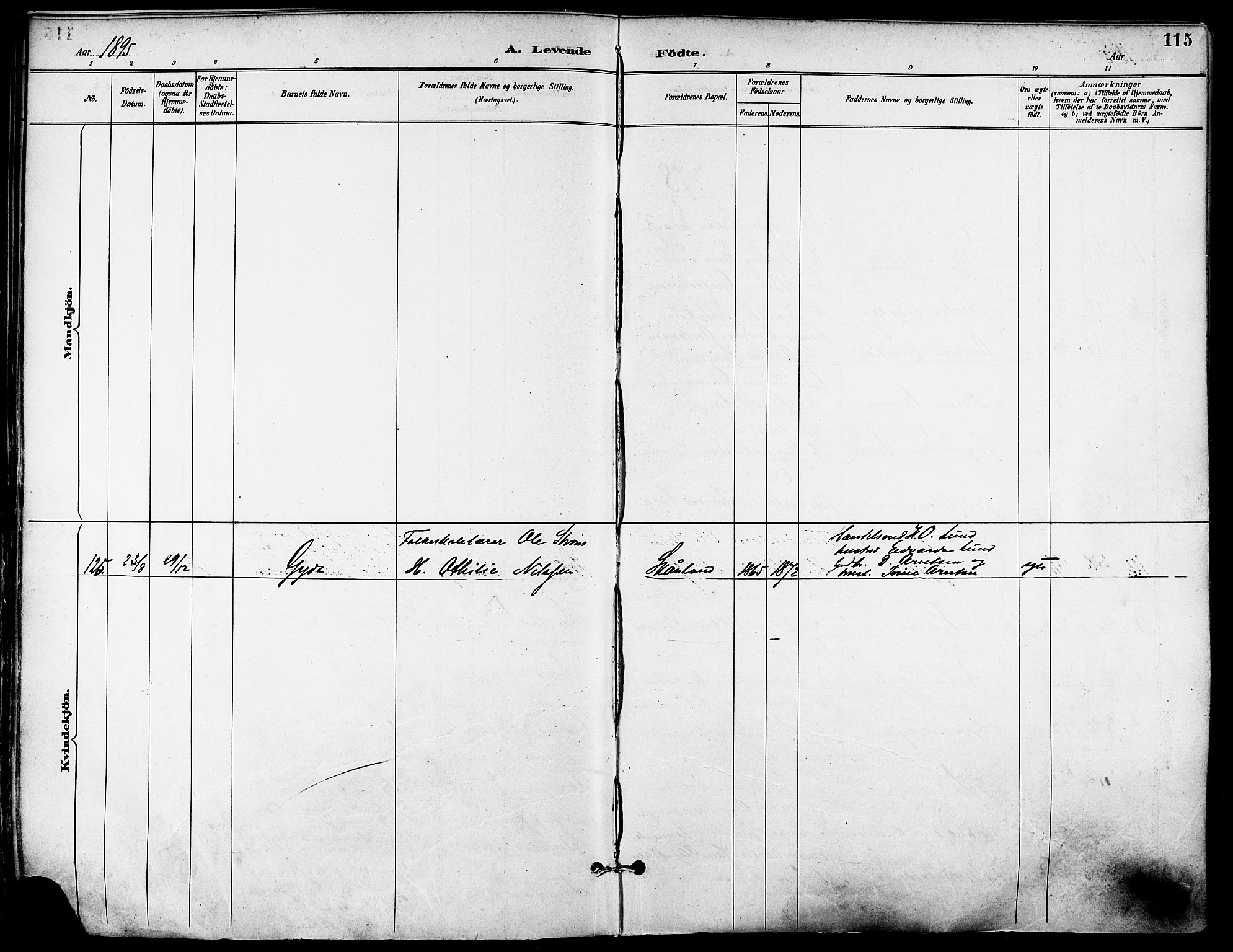 Trondenes sokneprestkontor, SATØ/S-1319/H/Ha/L0016kirke: Ministerialbok nr. 16, 1890-1898, s. 115