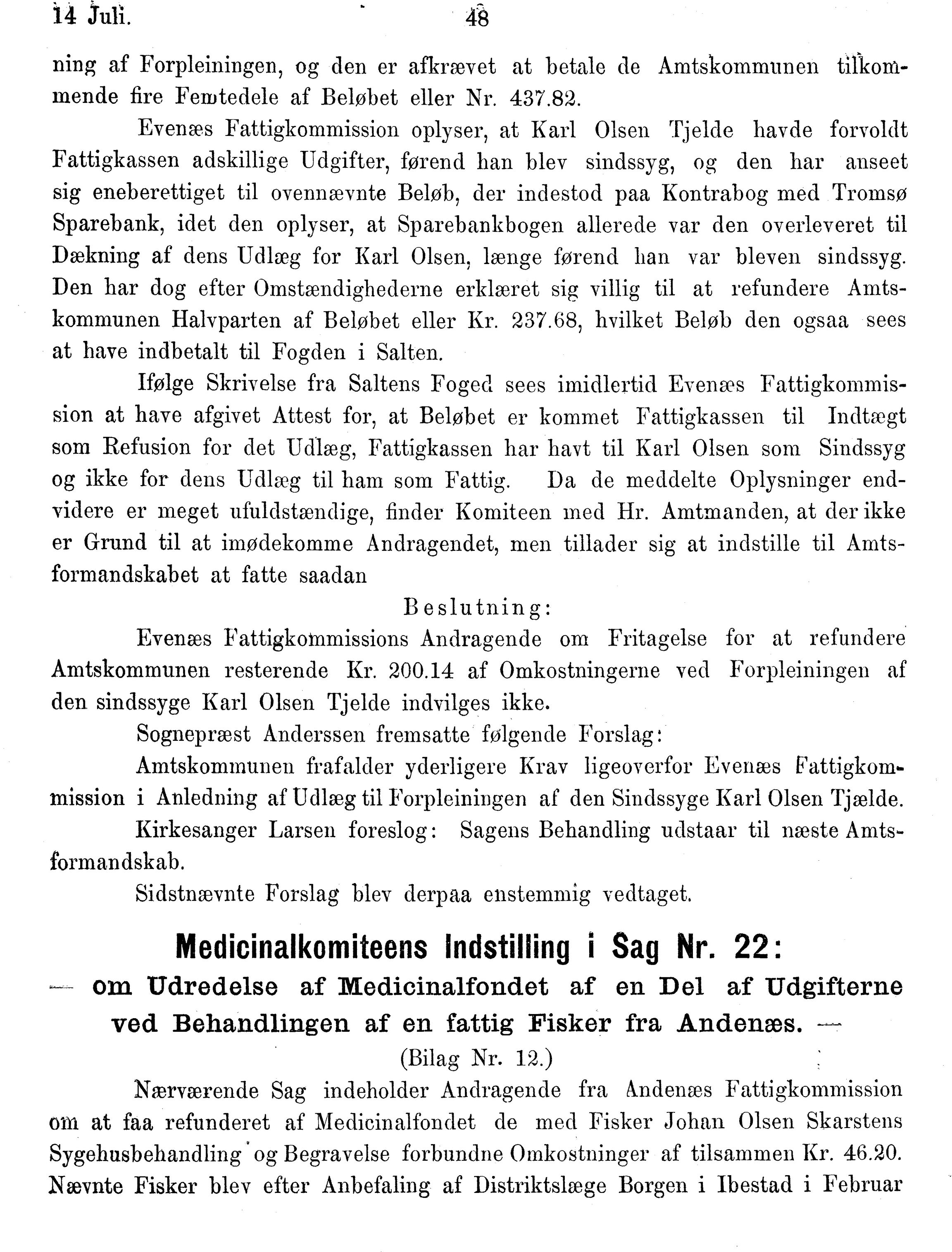 Nordland Fylkeskommune. Fylkestinget, AIN/NFK-17/176/A/Ac/L0014: Fylkestingsforhandlinger 1881-1885, 1881-1885