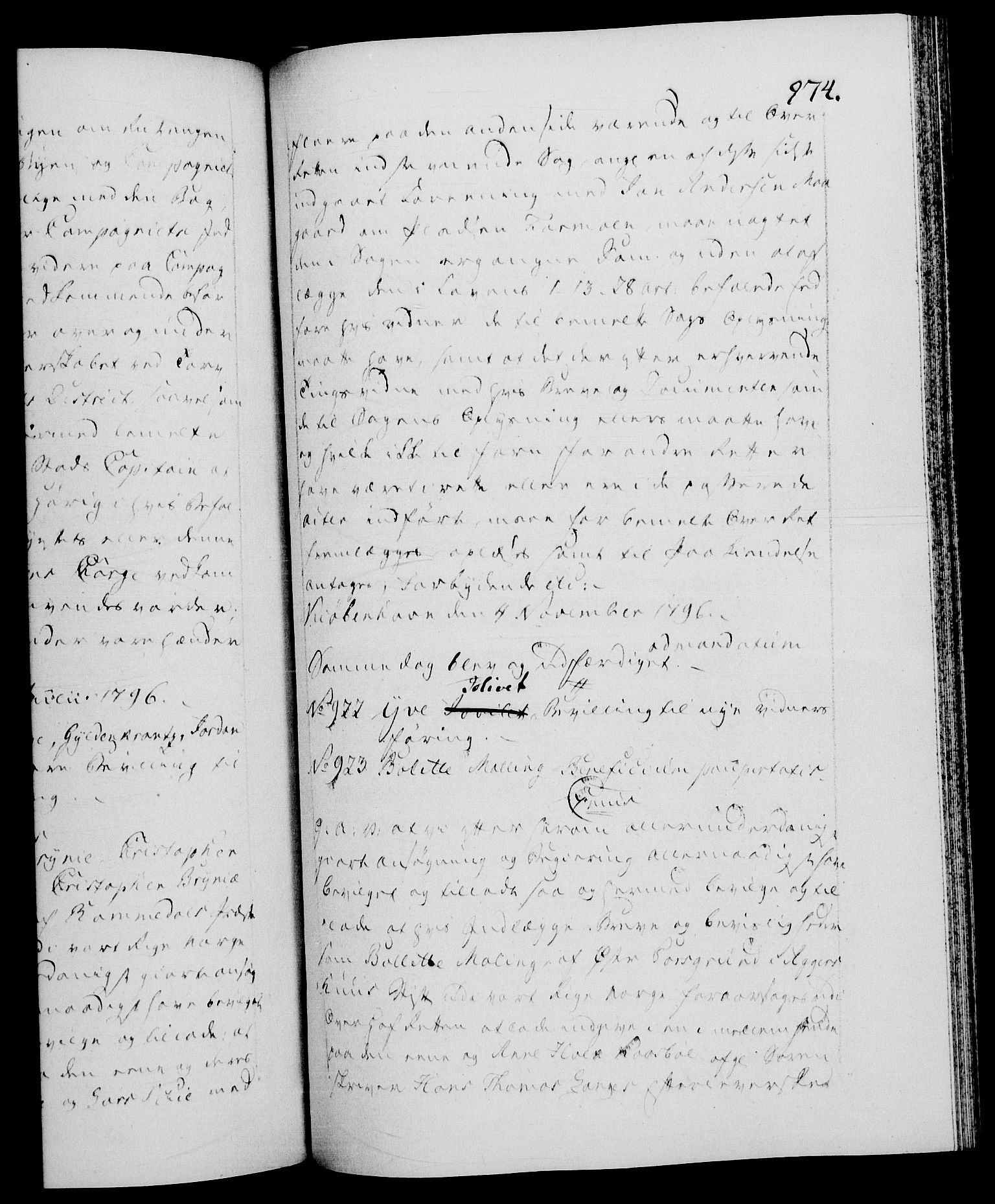 Danske Kanselli 1572-1799, RA/EA-3023/F/Fc/Fca/Fcaa/L0056: Norske registre, 1795-1796, s. 974a