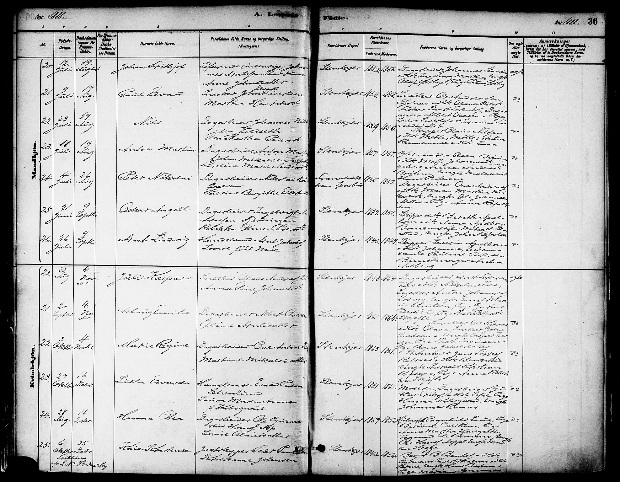 Ministerialprotokoller, klokkerbøker og fødselsregistre - Nord-Trøndelag, SAT/A-1458/739/L0371: Ministerialbok nr. 739A03, 1881-1895, s. 36