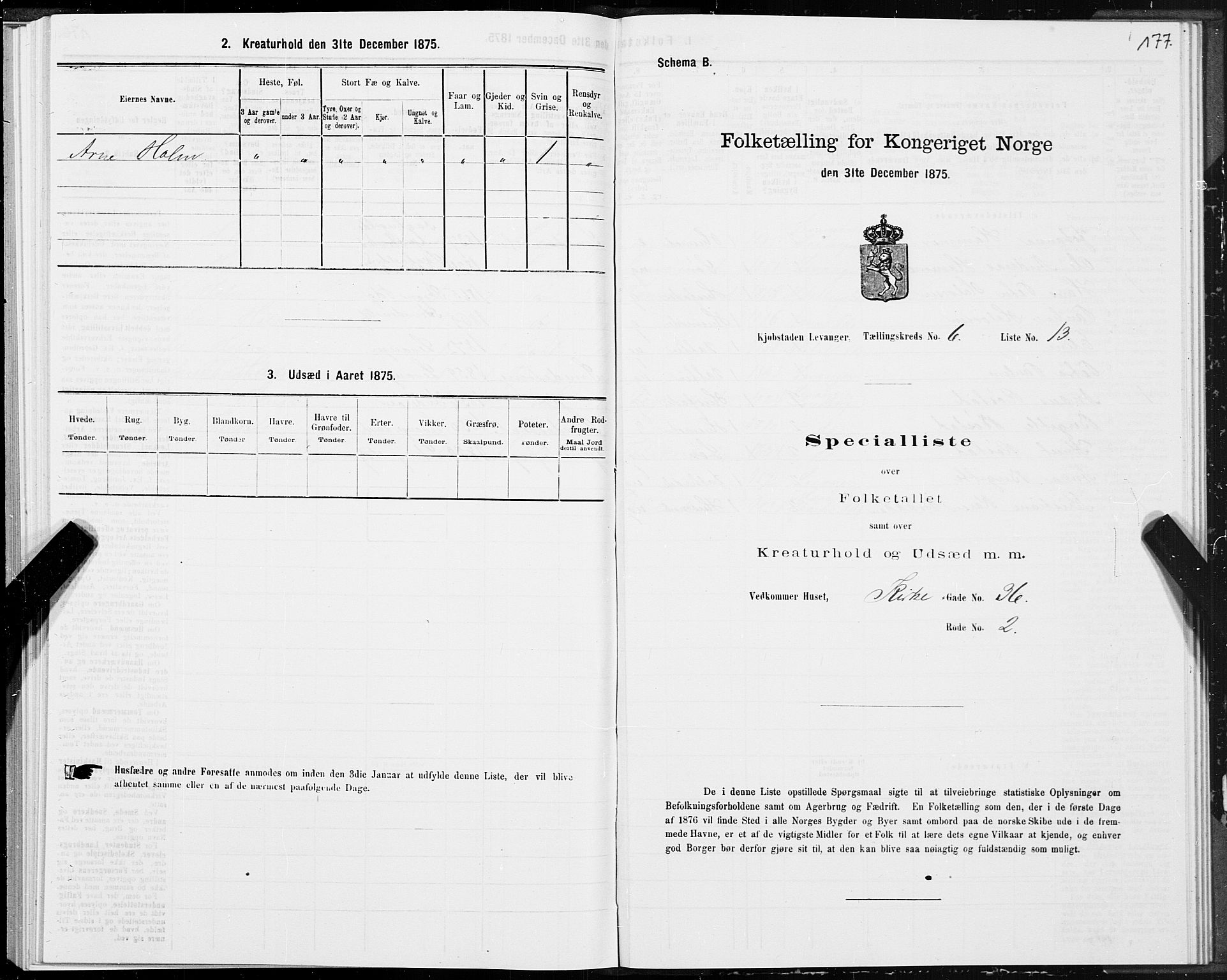 SAT, Folketelling 1875 for 1701B Levanger prestegjeld, Levanger kjøpstad, 1875, s. 177