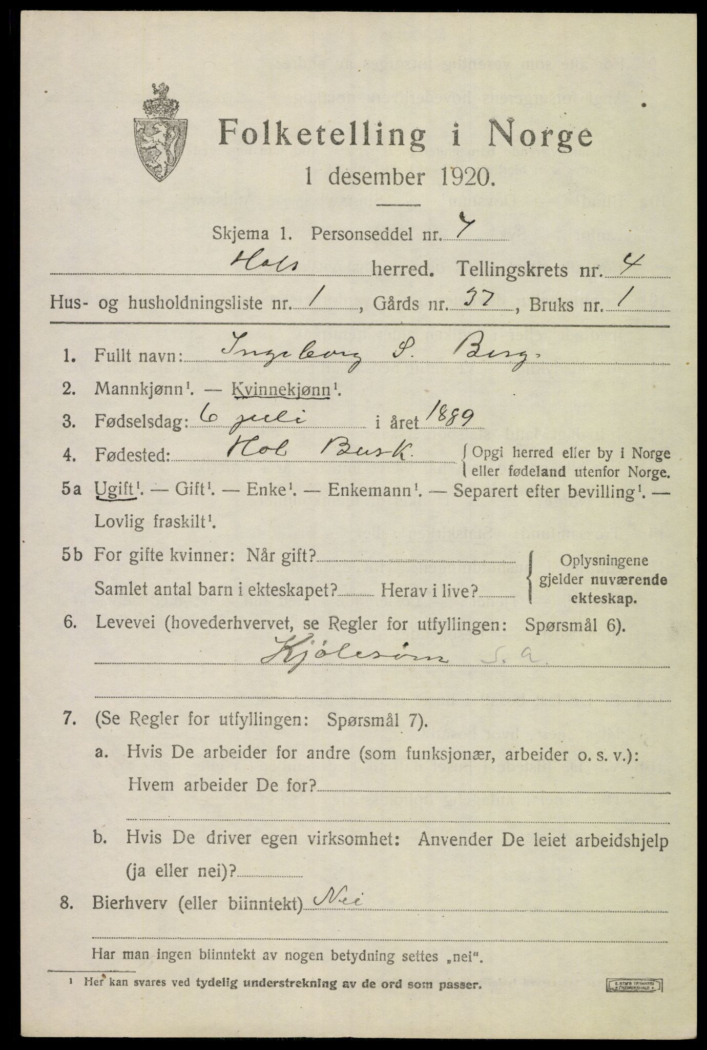 SAKO, Folketelling 1920 for 0620 Hol herred, 1920, s. 2429