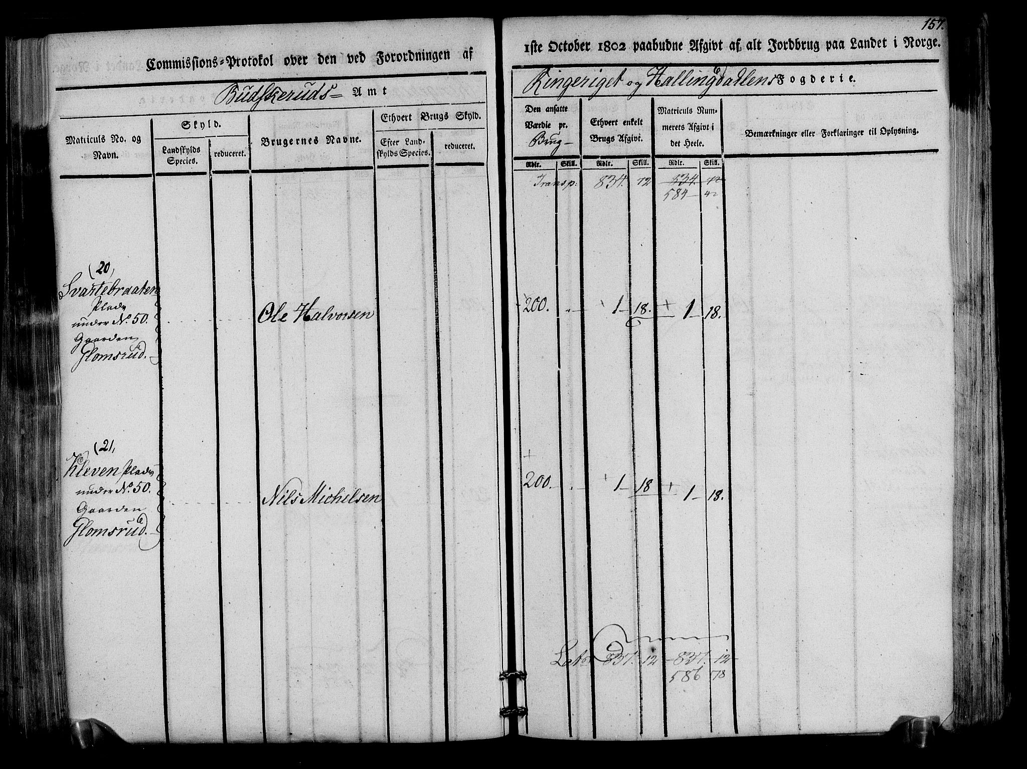 Rentekammeret inntil 1814, Realistisk ordnet avdeling, AV/RA-EA-4070/N/Ne/Nea/L0047: Ringerike og Hallingdal fogderi. Kommisjonsprotokoll for Nes prestegjeld, 1803, s. 160