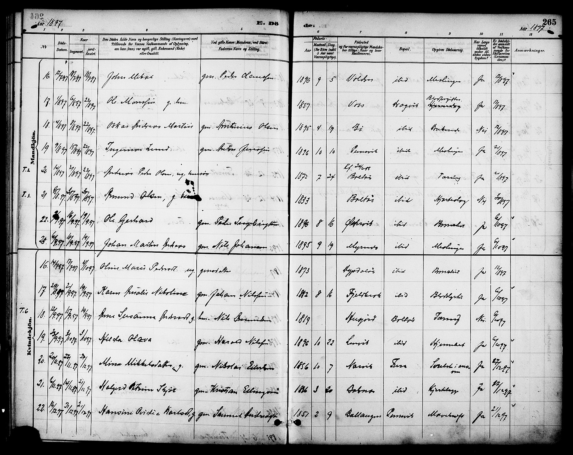 Ministerialprotokoller, klokkerbøker og fødselsregistre - Nordland, AV/SAT-A-1459/863/L0898: Ministerialbok nr. 863A10, 1886-1897, s. 265