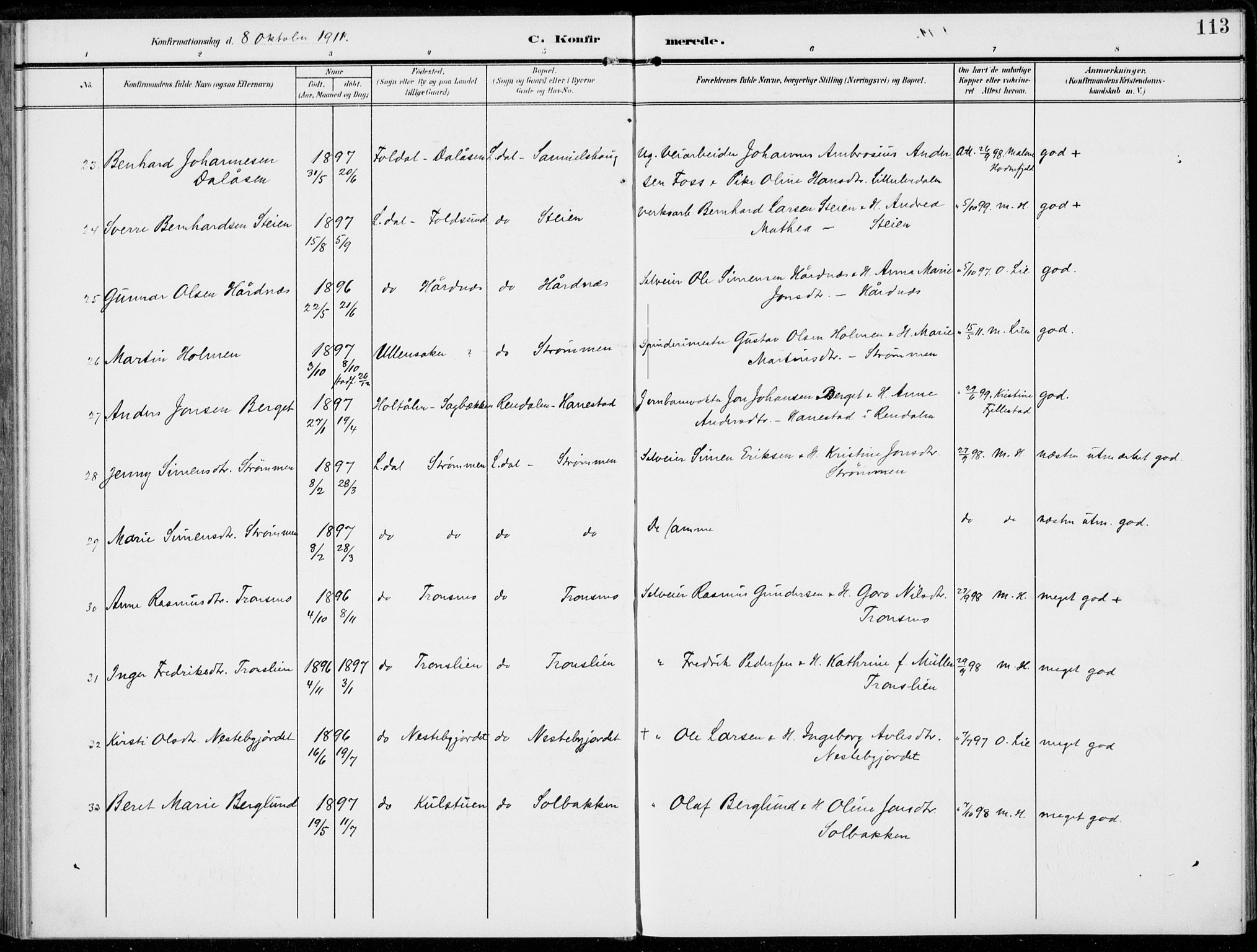 Alvdal prestekontor, AV/SAH-PREST-060/H/Ha/Haa/L0004: Ministerialbok nr. 4, 1907-1919, s. 113