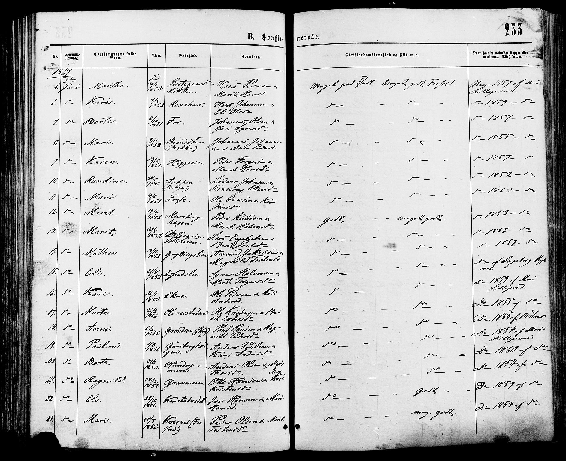 Sør-Fron prestekontor, SAH/PREST-010/H/Ha/Haa/L0002: Ministerialbok nr. 2, 1864-1880, s. 233