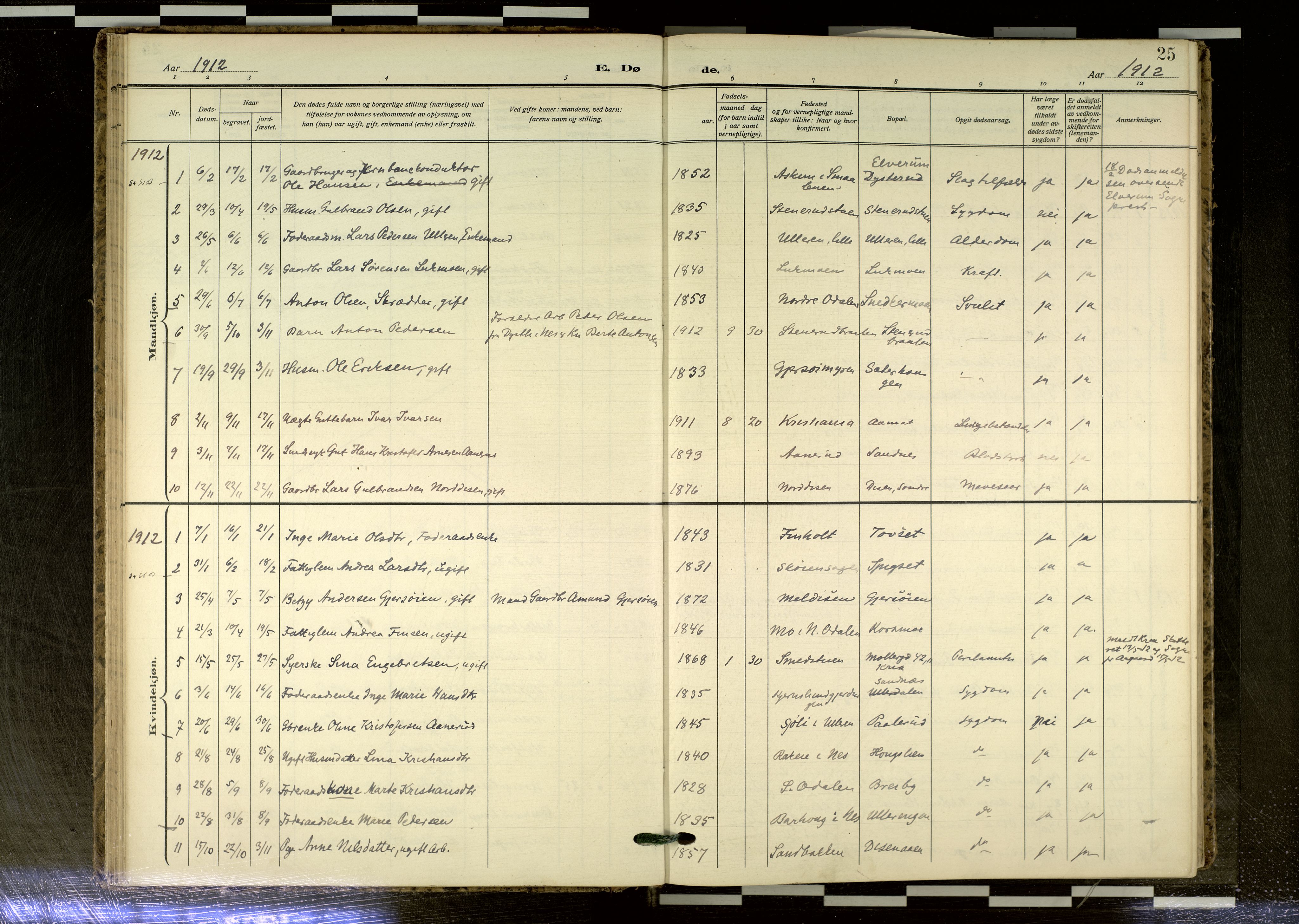 Sør-Odal prestekontor, AV/SAH-PREST-030/H/Ha/Haa/L0020: Ministerialbok nr. 20, 1906-2012, s. 25