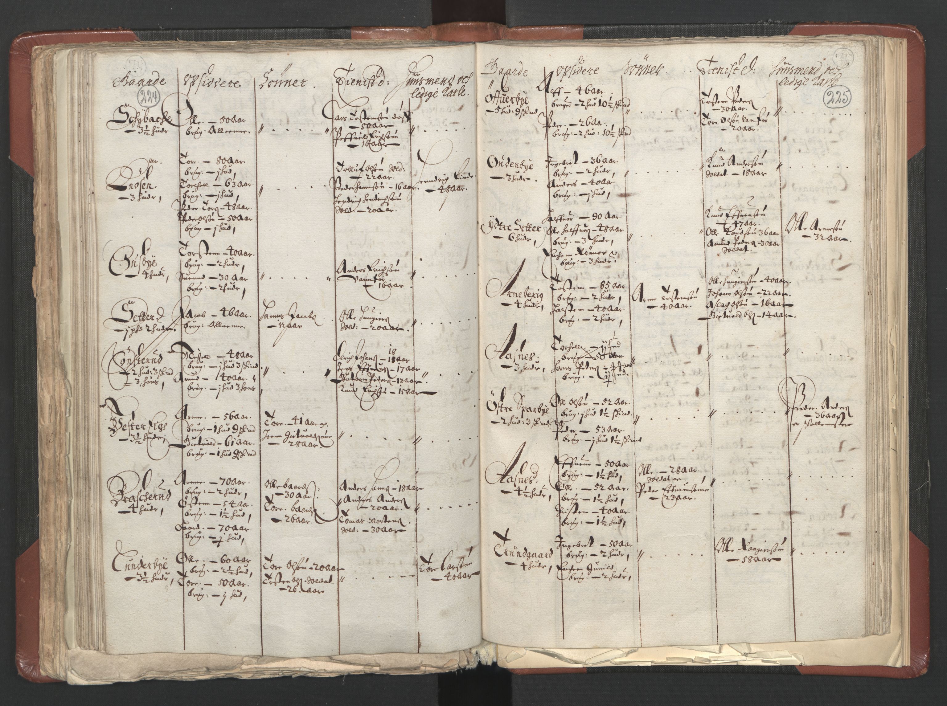 RA, Fogdenes og sorenskrivernes manntall 1664-1666, nr. 3: Hedmark fogderi og Solør, Østerdal og Odal fogderi, 1664, s. 224-225