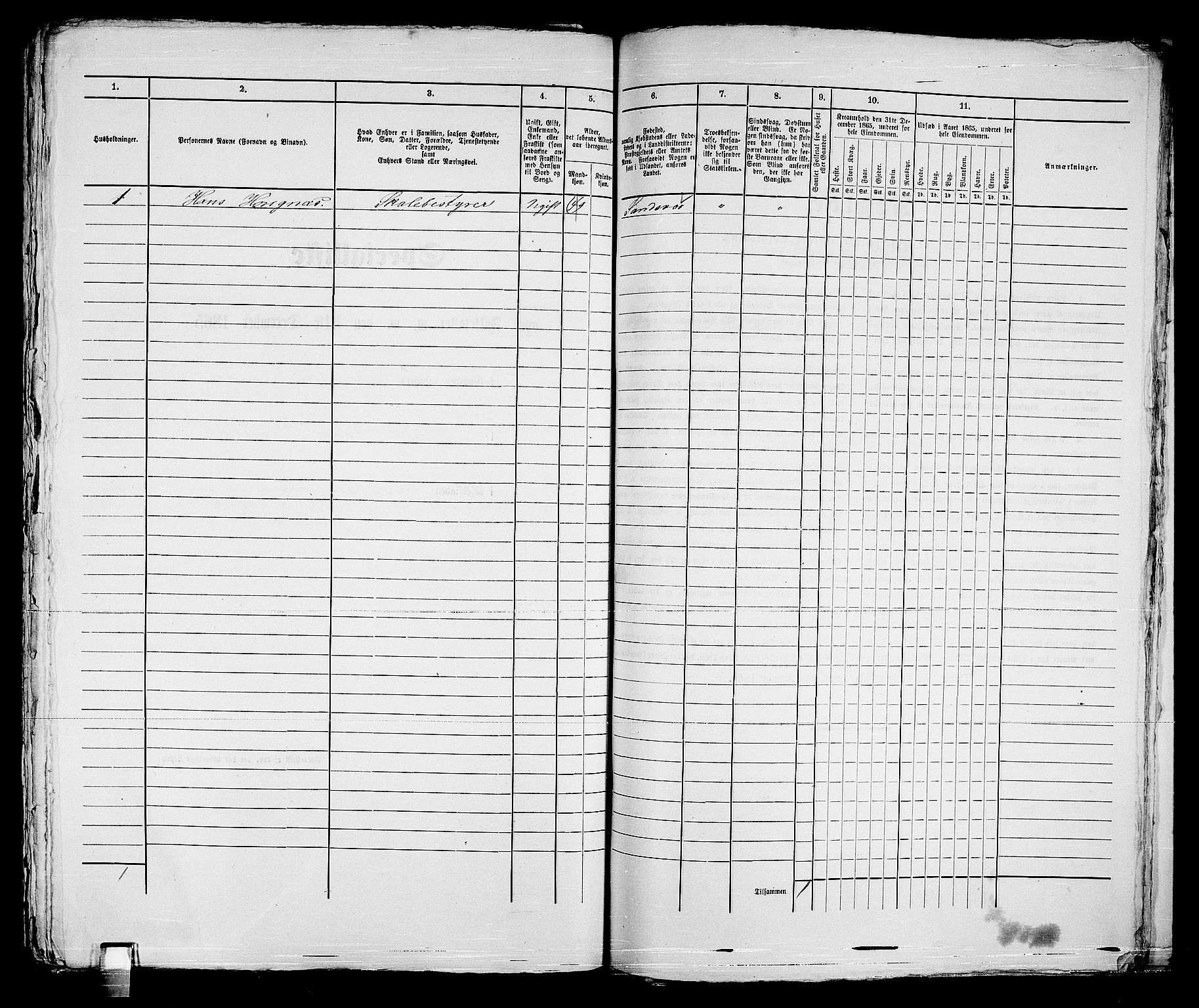 RA, Folketelling 1865 for 0602bP Strømsø prestegjeld i Drammen kjøpstad, 1865, s. 496