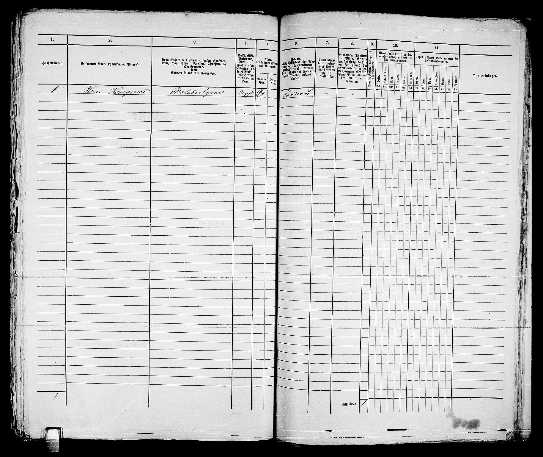 RA, Folketelling 1865 for 0602bP Strømsø prestegjeld i Drammen kjøpstad, 1865, s. 496