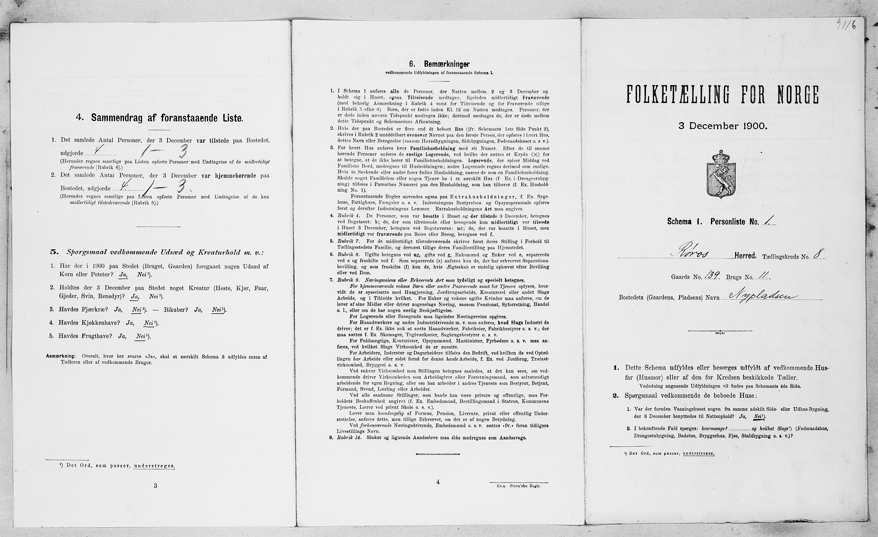 SAT, Folketelling 1900 for 1640 Røros herred, 1900, s. 898
