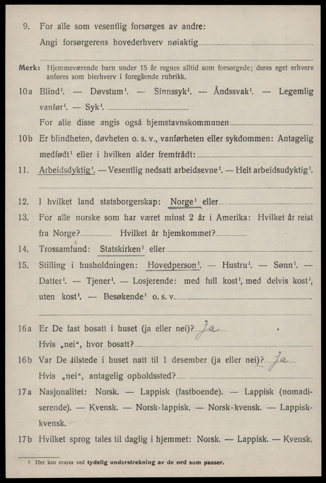 SAT, Folketelling 1920 for 1650 Horg herred, 1920, s. 1647