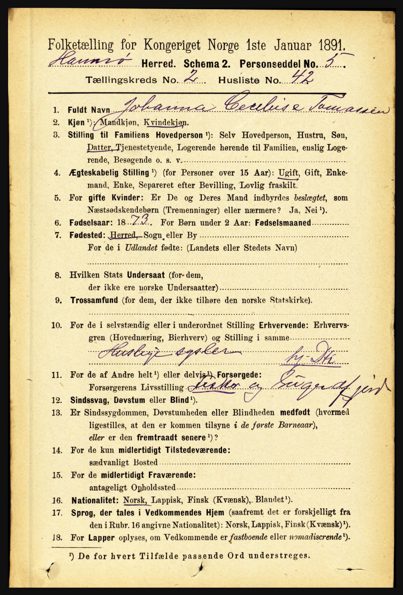 RA, Folketelling 1891 for 1849 Hamarøy herred, 1891, s. 817