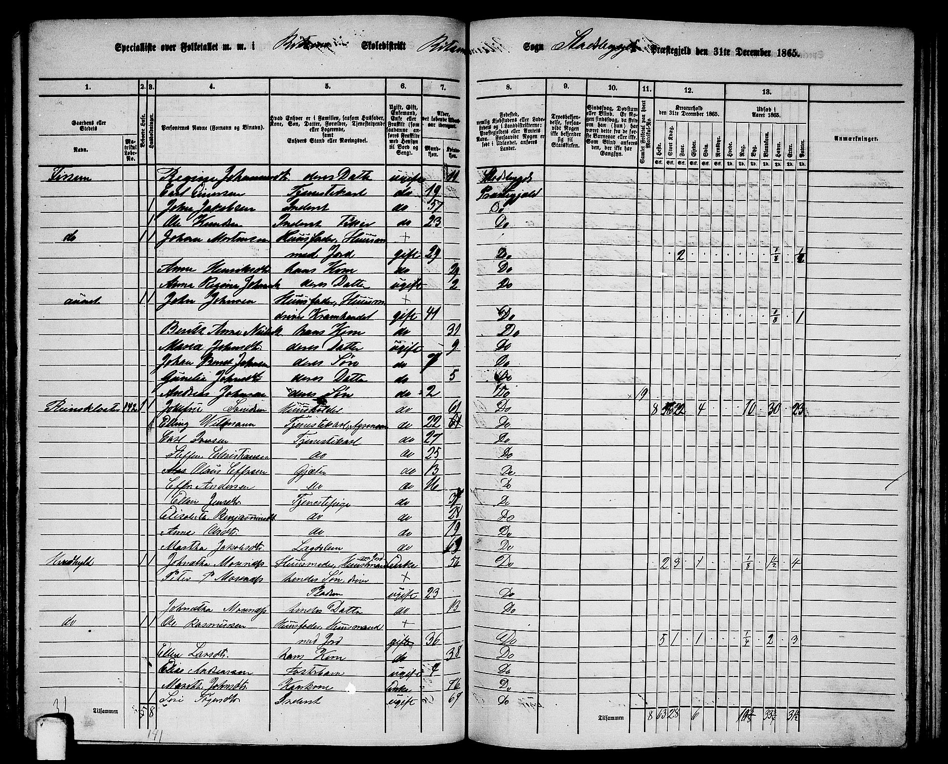 RA, Folketelling 1865 for 1625P Stadsbygd prestegjeld, 1865, s. 124