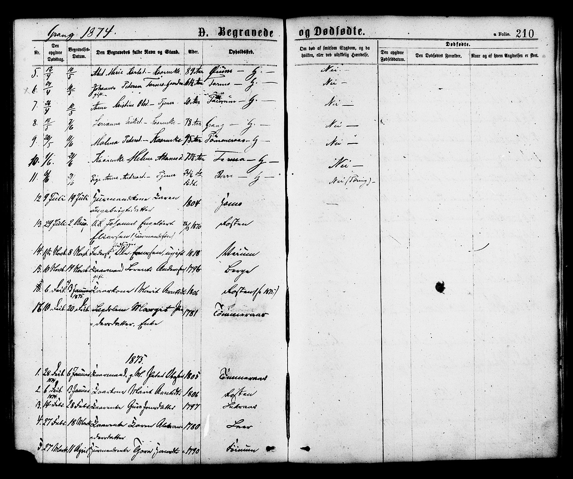 Ministerialprotokoller, klokkerbøker og fødselsregistre - Nord-Trøndelag, SAT/A-1458/758/L0516: Ministerialbok nr. 758A03 /1, 1869-1879, s. 210