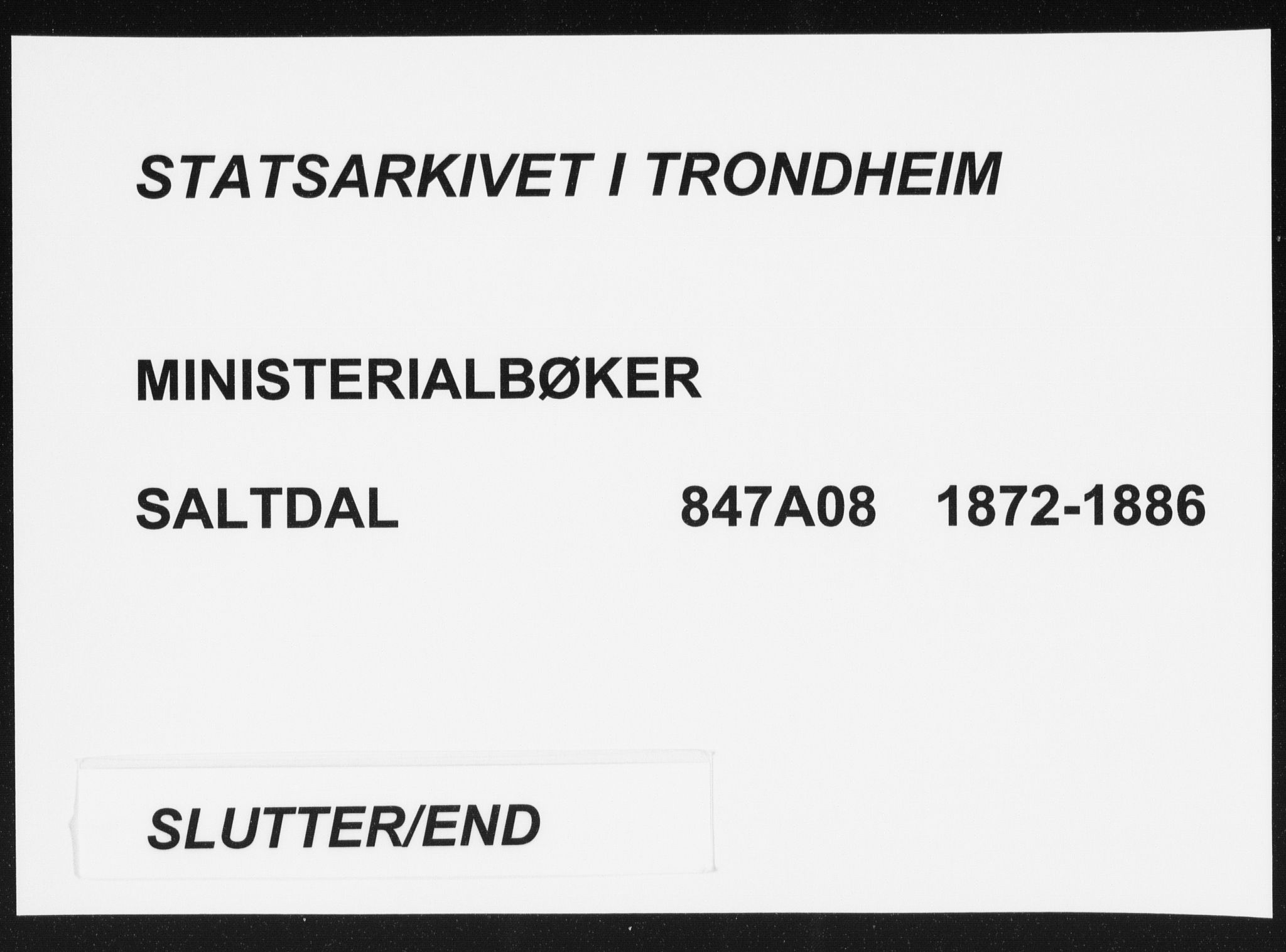 Ministerialprotokoller, klokkerbøker og fødselsregistre - Nordland, AV/SAT-A-1459/847/L0668: Ministerialbok nr. 847A08, 1872-1886