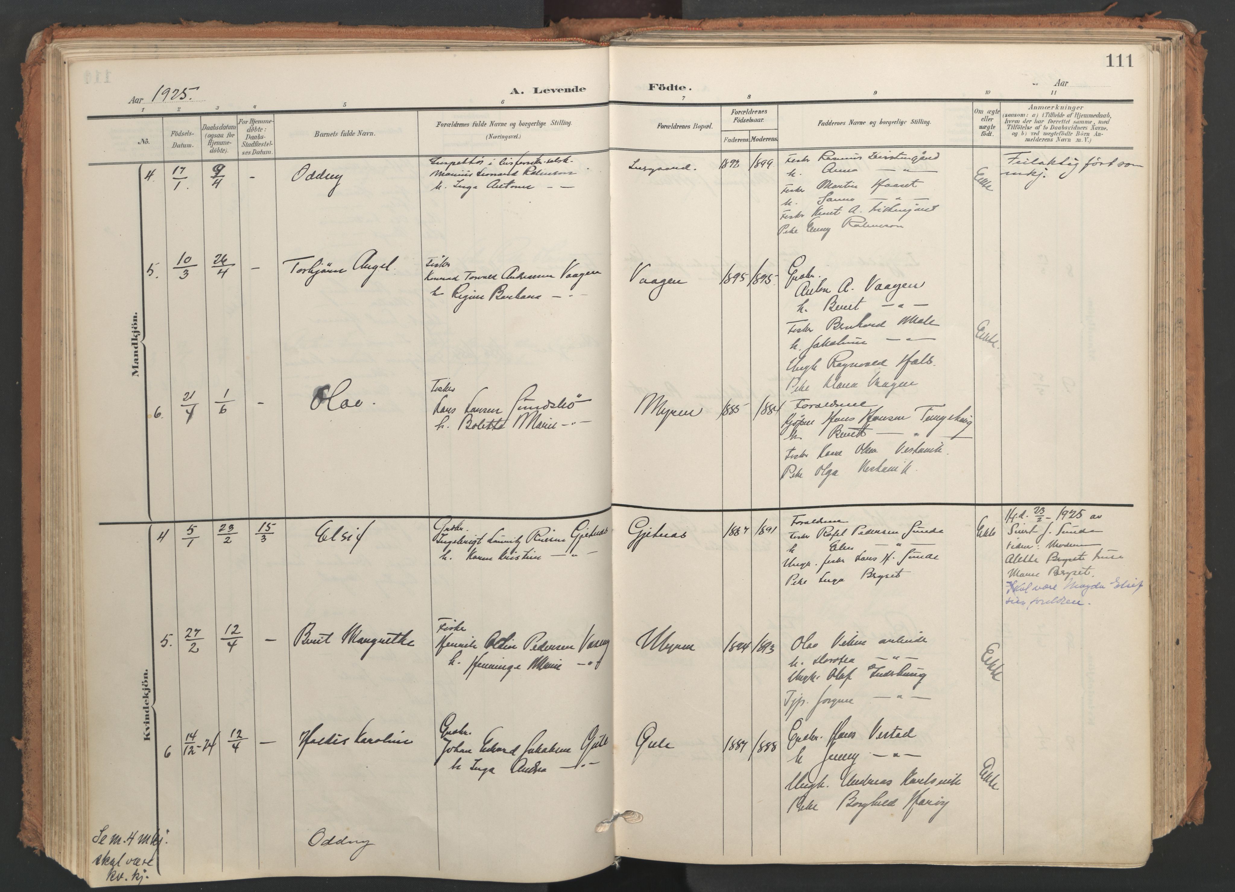 Ministerialprotokoller, klokkerbøker og fødselsregistre - Møre og Romsdal, AV/SAT-A-1454/566/L0771: Ministerialbok nr. 566A10, 1904-1929, s. 111