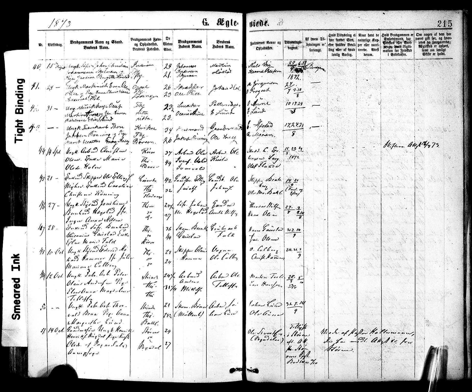 Ministerialprotokoller, klokkerbøker og fødselsregistre - Sør-Trøndelag, SAT/A-1456/602/L0118: Ministerialbok nr. 602A16, 1873-1879, s. 215