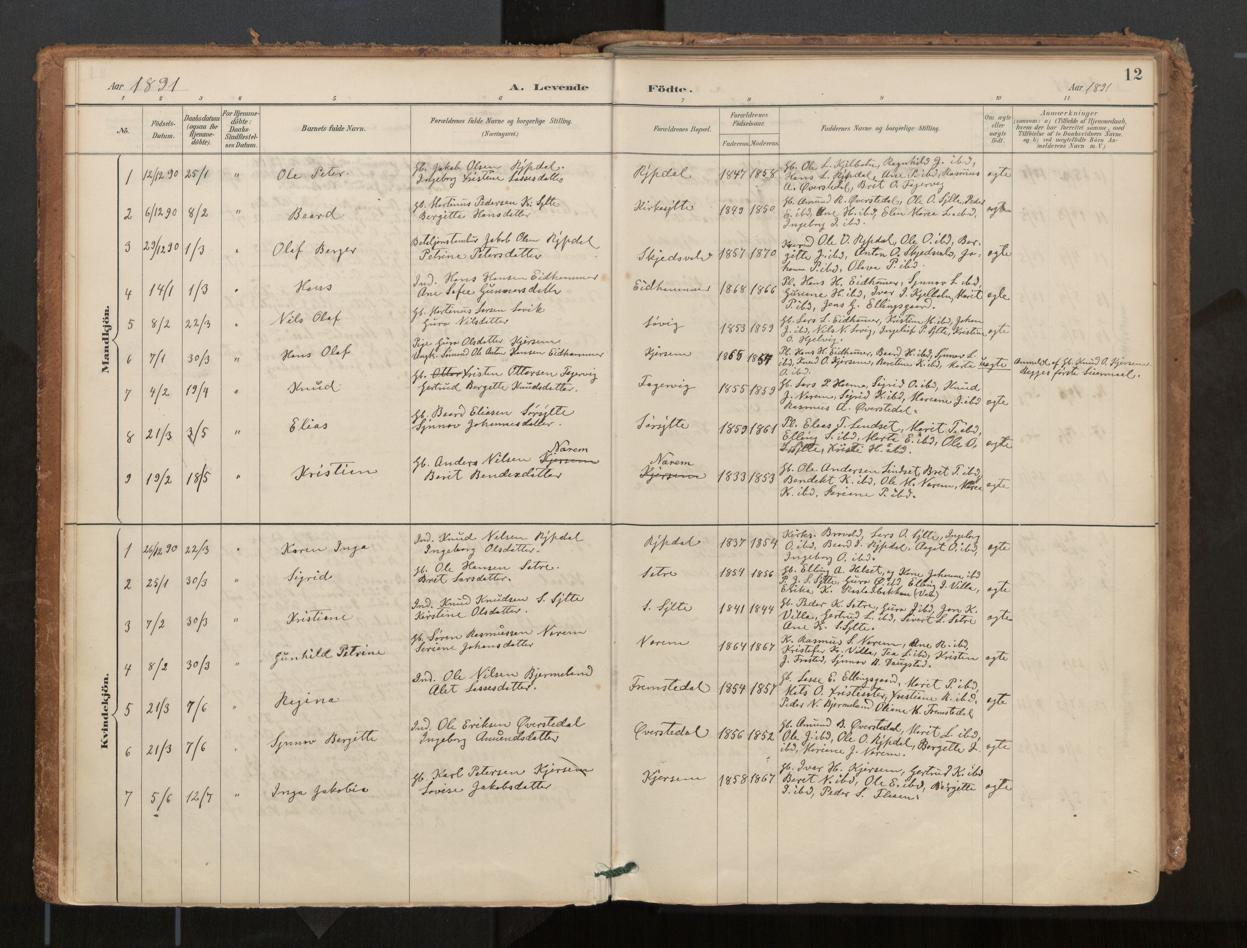 Ministerialprotokoller, klokkerbøker og fødselsregistre - Møre og Romsdal, AV/SAT-A-1454/541/L0545a: Ministerialbok nr. 541A03, 1887-1912, s. 12