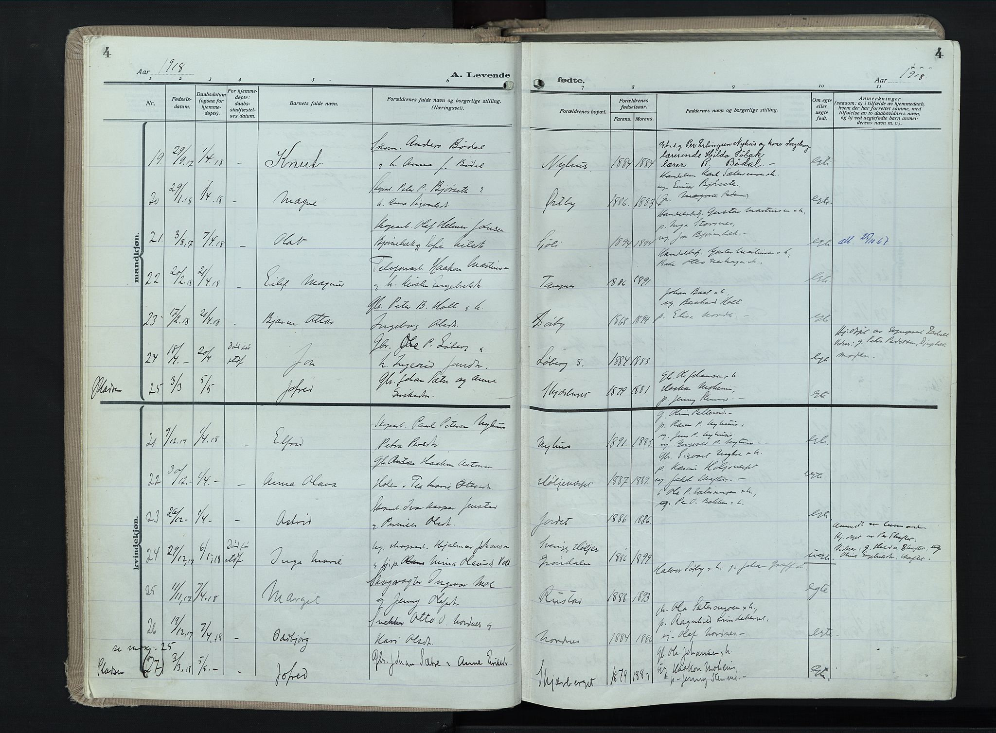 Trysil prestekontor, AV/SAH-PREST-046/H/Ha/Haa/L0017: Ministerialbok nr. 17, 1918-1936, s. 4