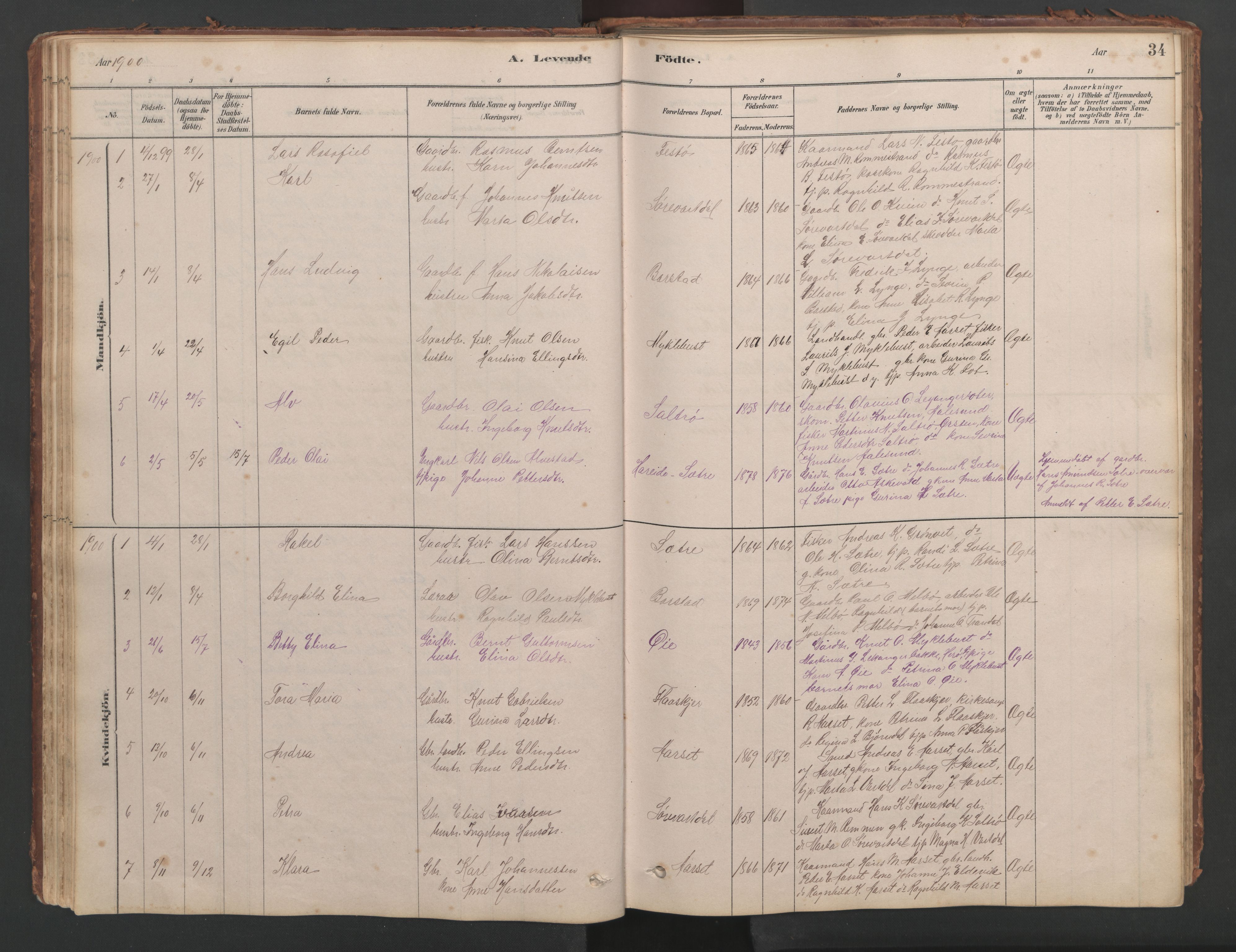 Ministerialprotokoller, klokkerbøker og fødselsregistre - Møre og Romsdal, SAT/A-1454/514/L0201: Klokkerbok nr. 514C01, 1878-1919, s. 34