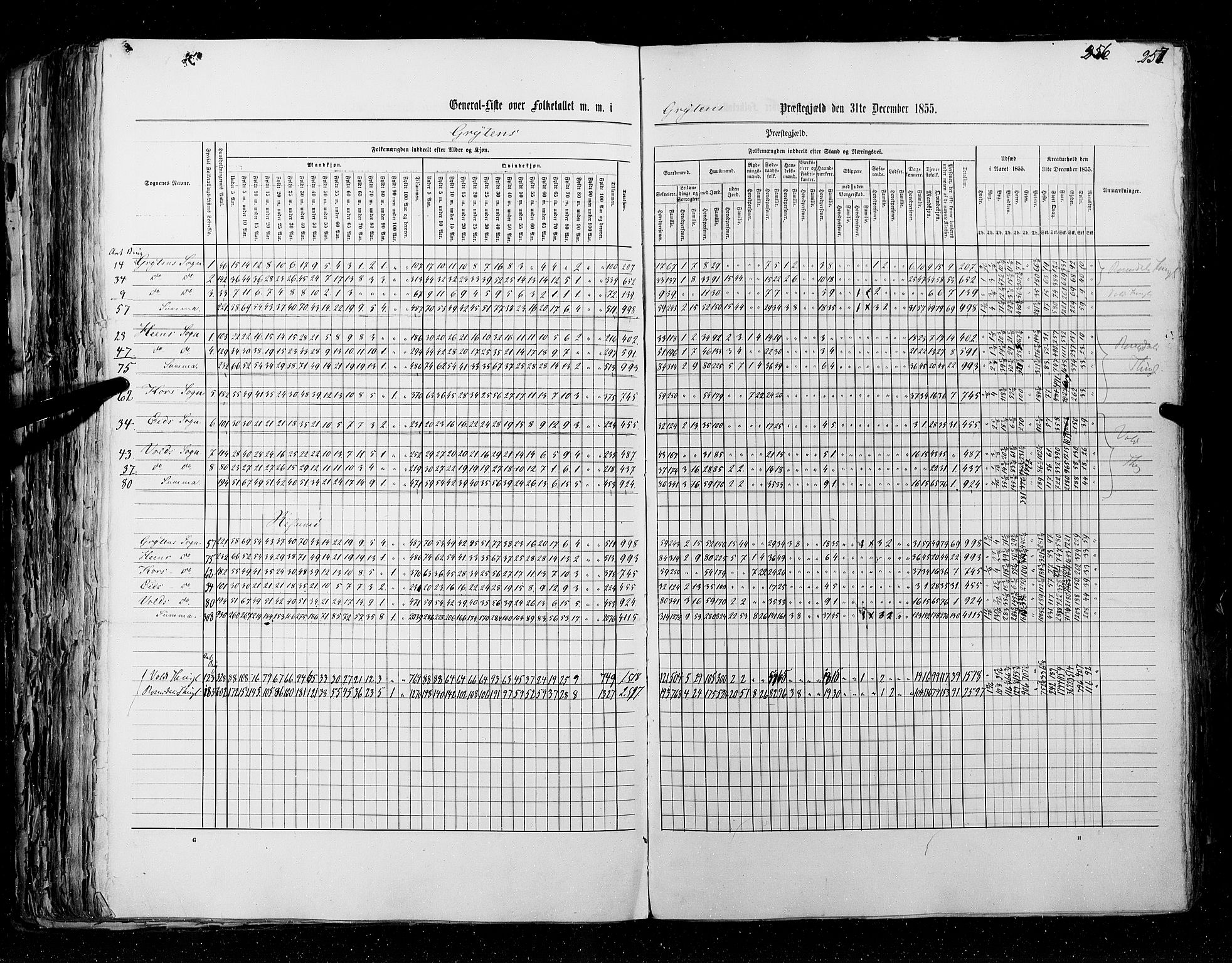 RA, Folketellingen 1855, bind 5: Nordre Bergenhus amt, Romsdal amt og Søndre Trondhjem amt, 1855, s. 256