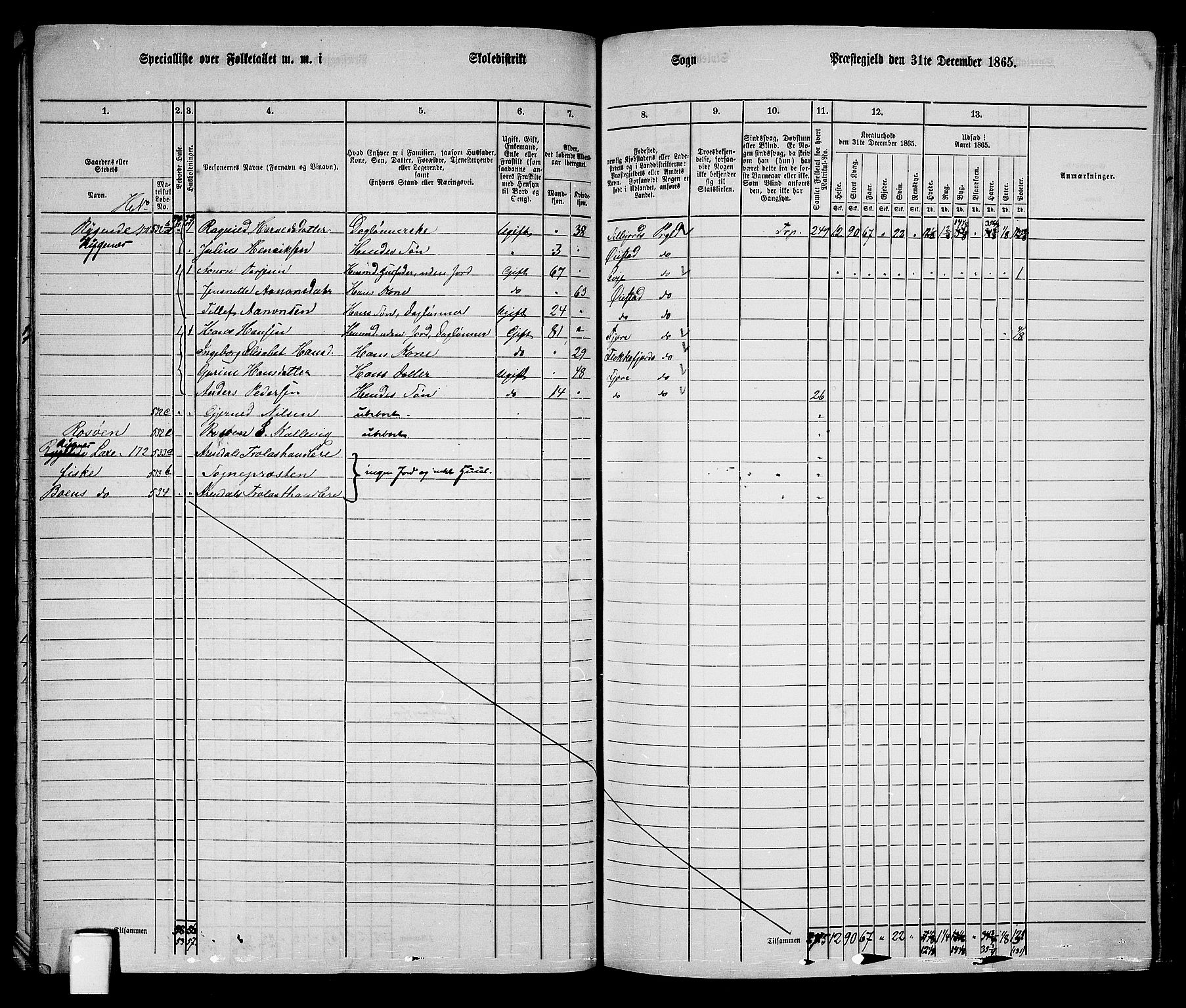 RA, Folketelling 1865 for 0920P Øyestad prestegjeld, 1865, s. 50